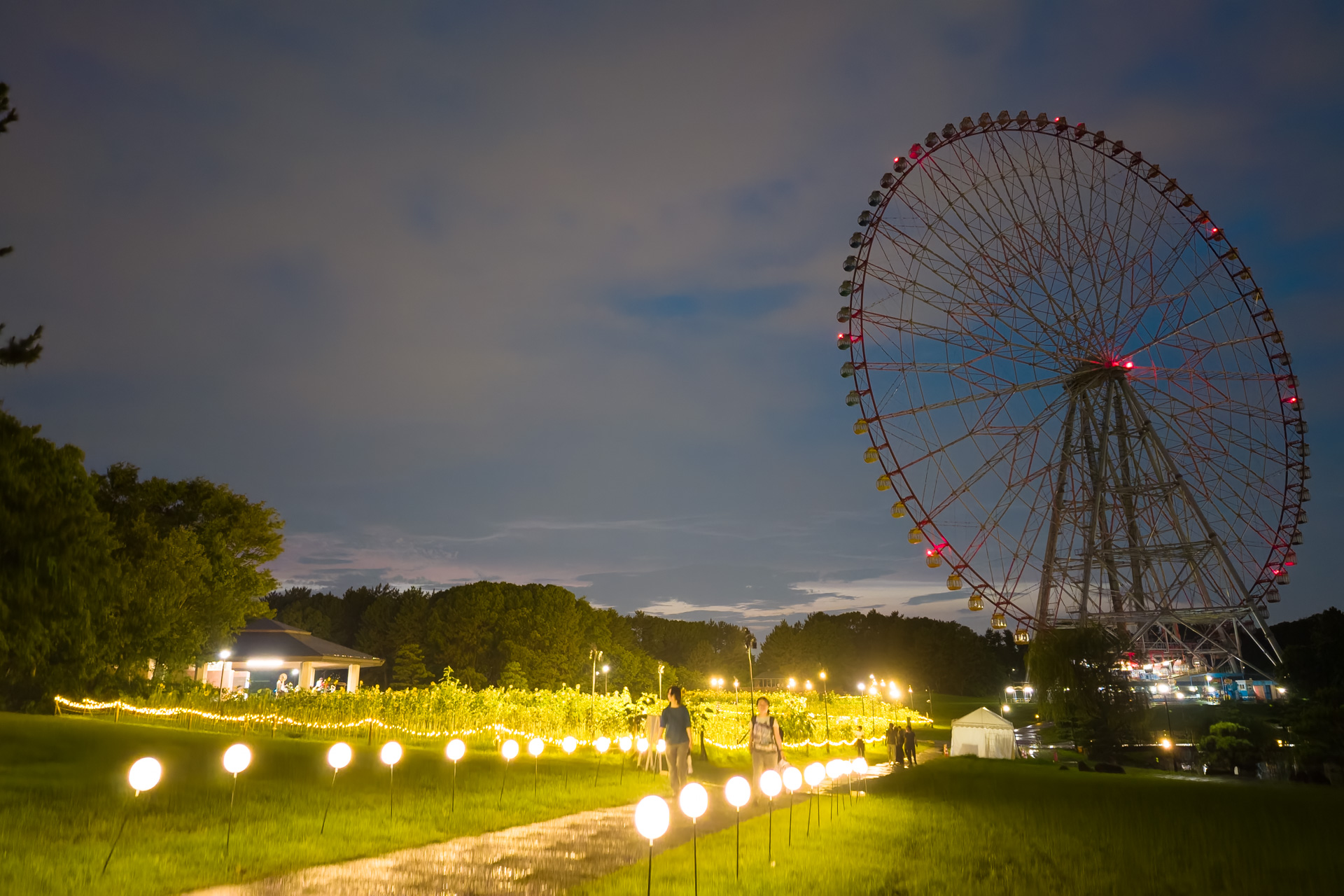 逆方向を見るとひまわり畑と観覧車が見える