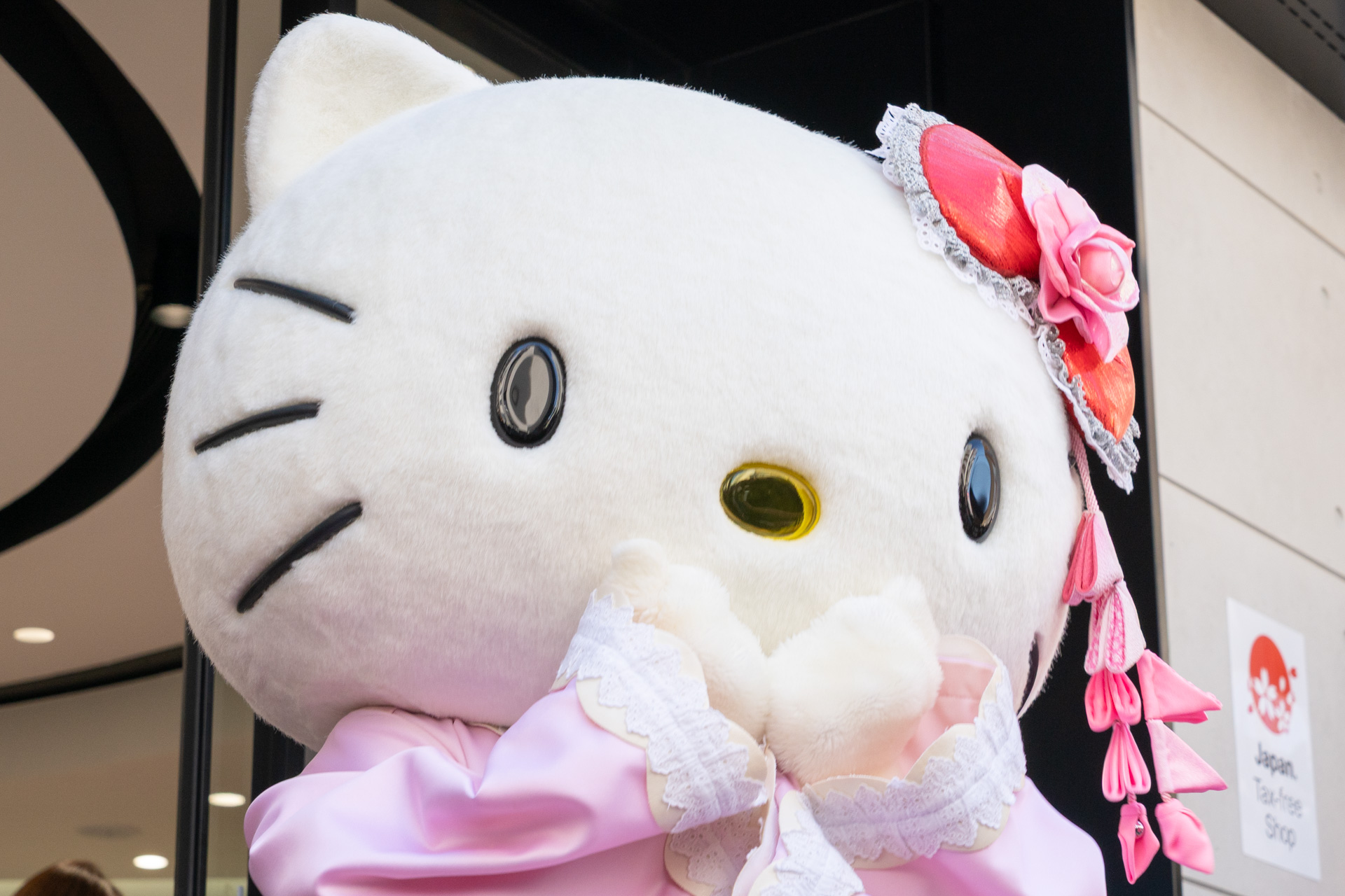 短い時間だが撮影タイムにはいろいろなポーズを披露。来店者は夢中でシャッターを切っていた