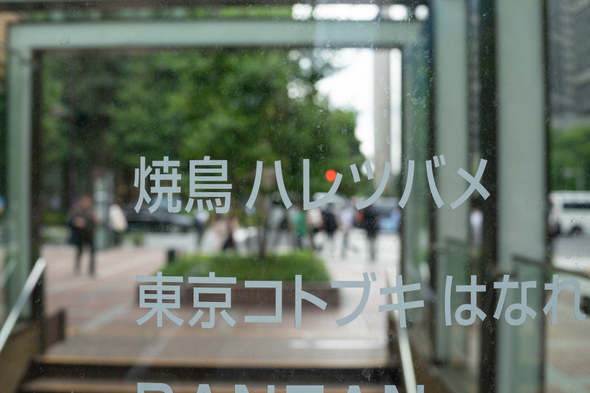 ソニーα6700／マニュアル露出（1/100秒・F5.6）／ISO 100
