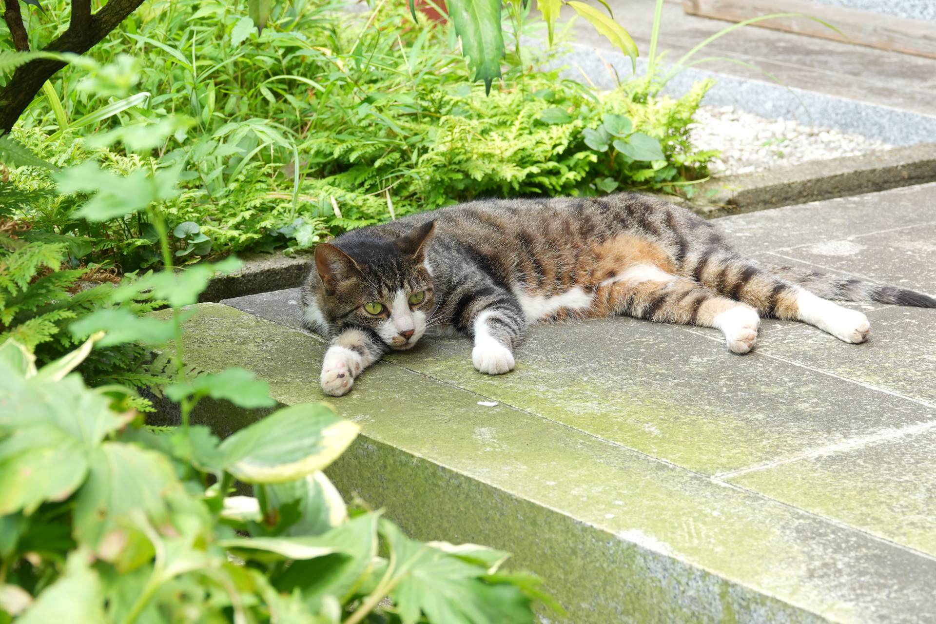 RX10 V／35mm（100mm相当）／絞り優先AE（1/100秒、F4.0、＋1.0EV）／ISO 250