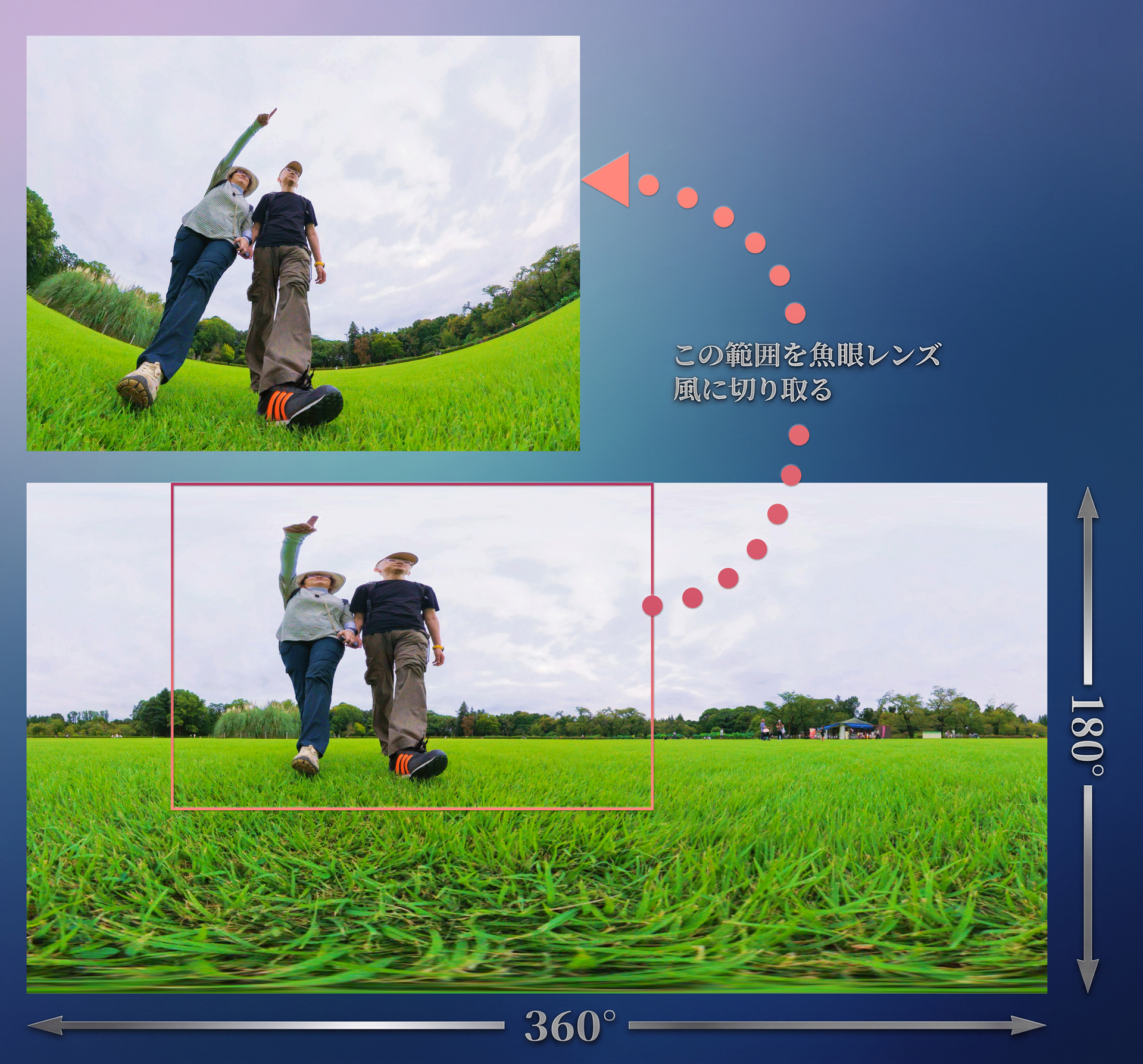 360°の範囲が写った1.2億画素（15,520×7,760ピクセル）の画像から必要な部分を切り出し、魚眼や広角などのフレーミング、色調、効果を調整して写真として仕上げていく。元画像が超高画素なため、大きくトリミングしても十分な解像感を維持できる。