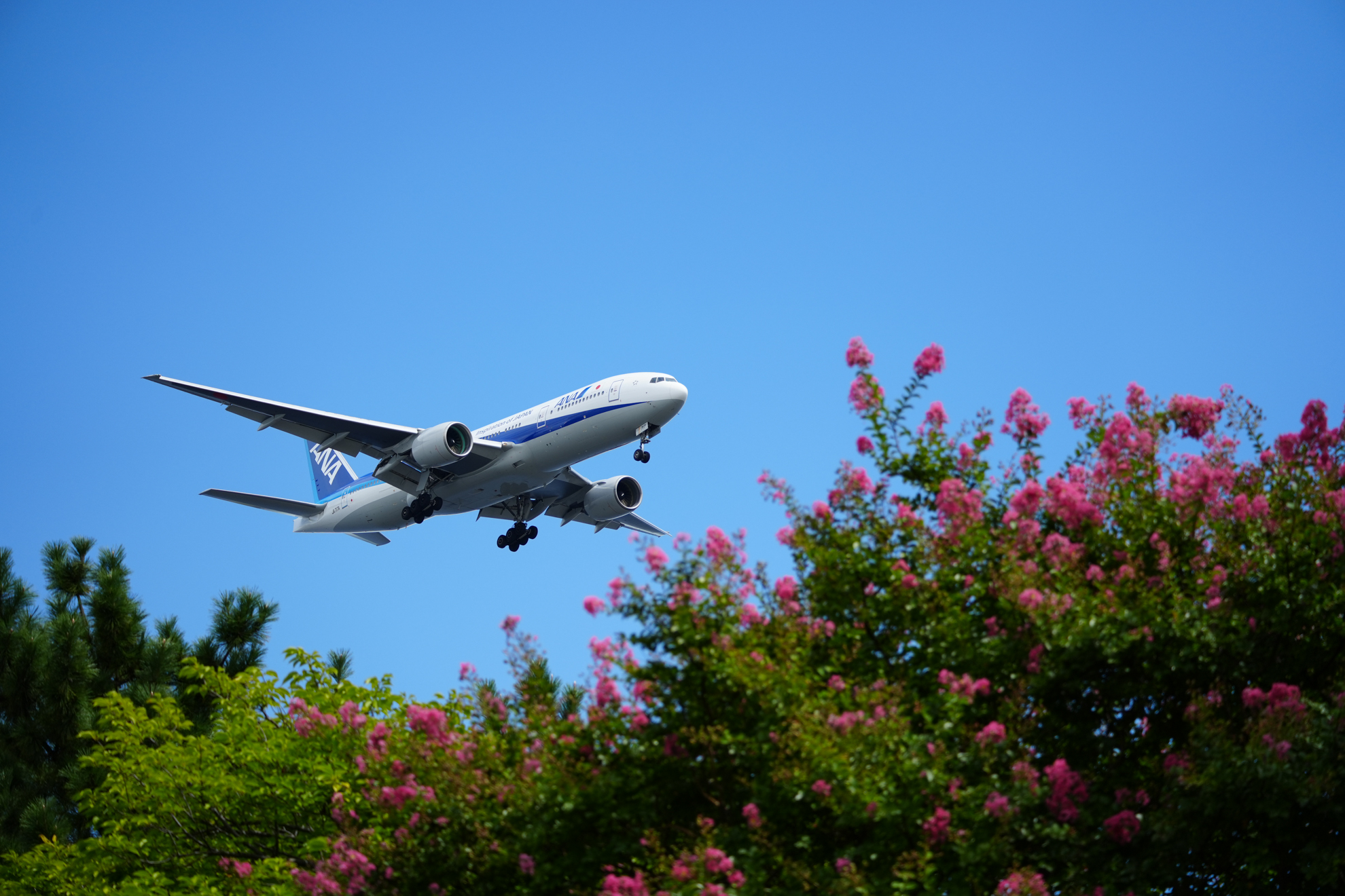 α7 IV／FE 100-400mm F5.6-8 OSS／100mm／マニュアル露出（1/1,600秒、F5.6）／ISO 400