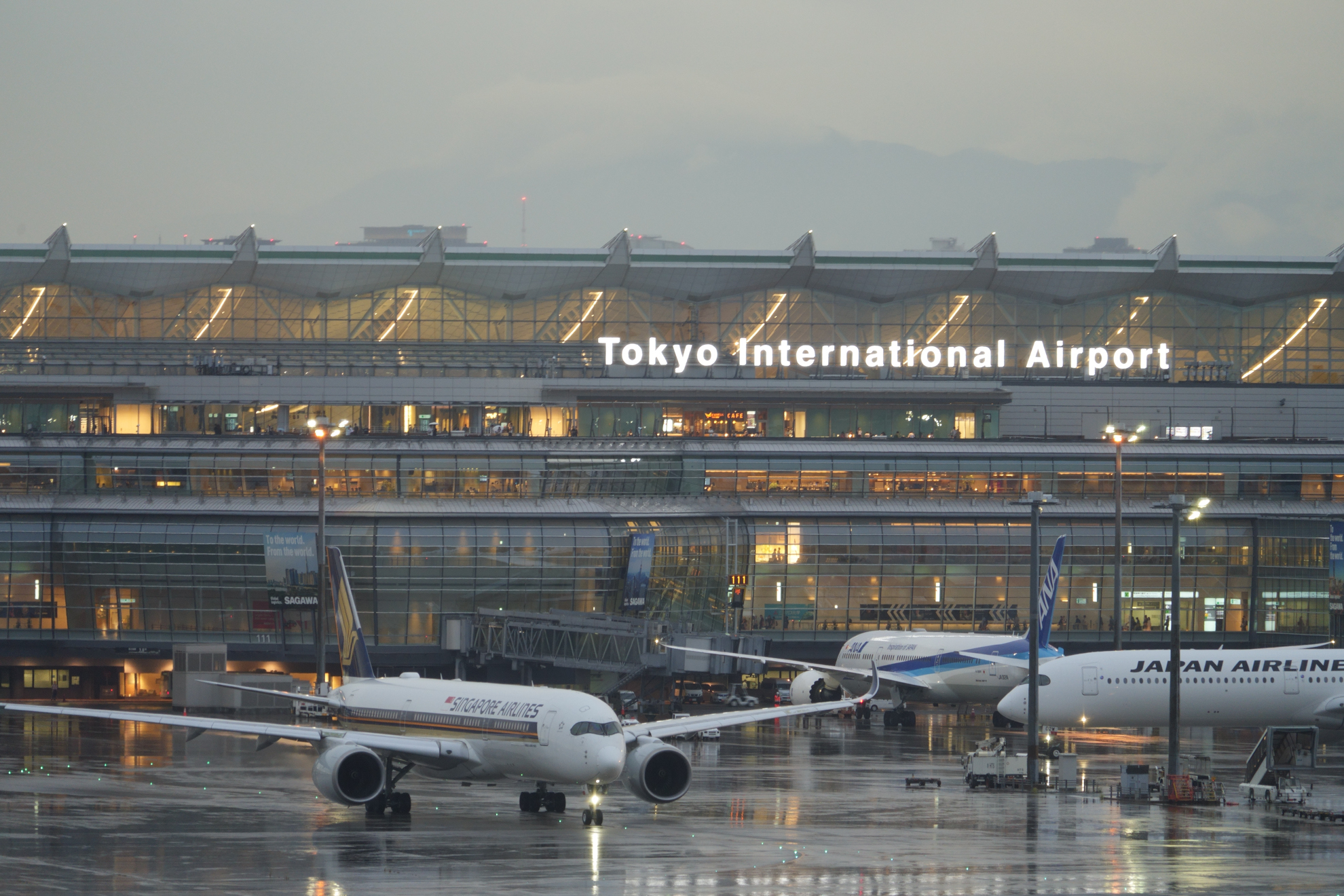 α7 IV／FE 100-400mm F5.6-8 OSS／400mm／マニュアル露出（1/20秒、F8）／ISO 800