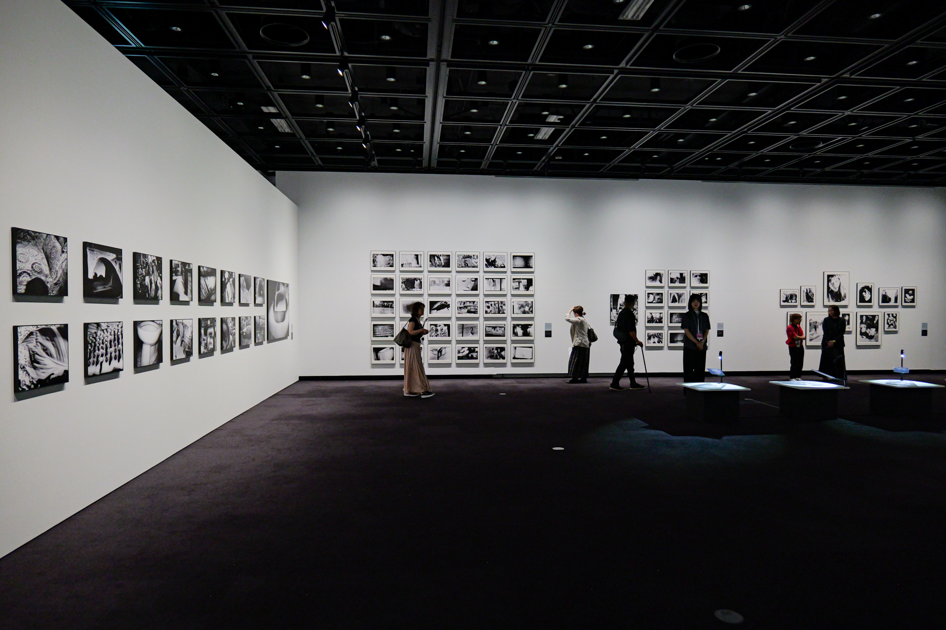 学生のキュレーションで、東京都写真美術館の収蔵作品を展示