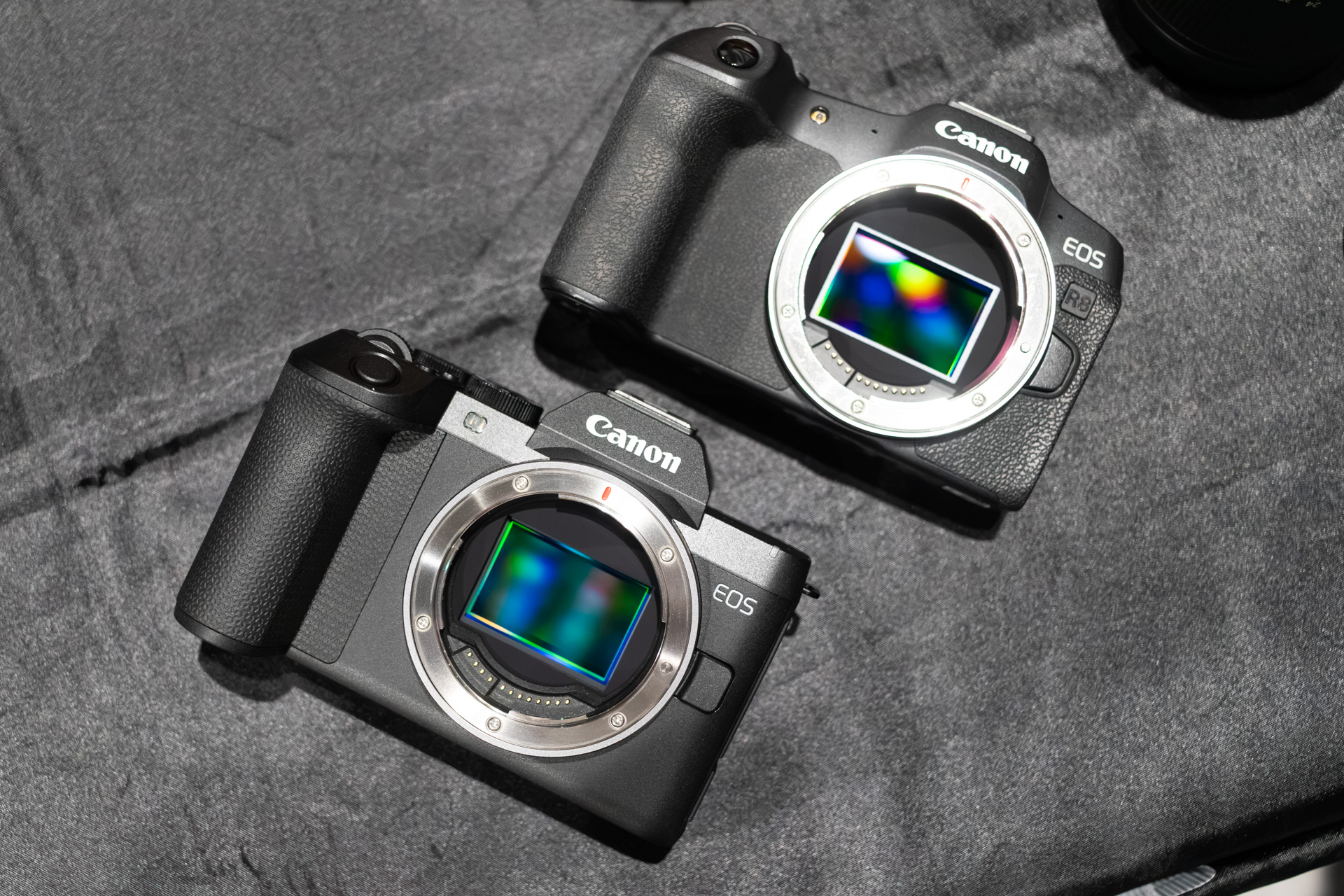 EOS R8（右）との比較