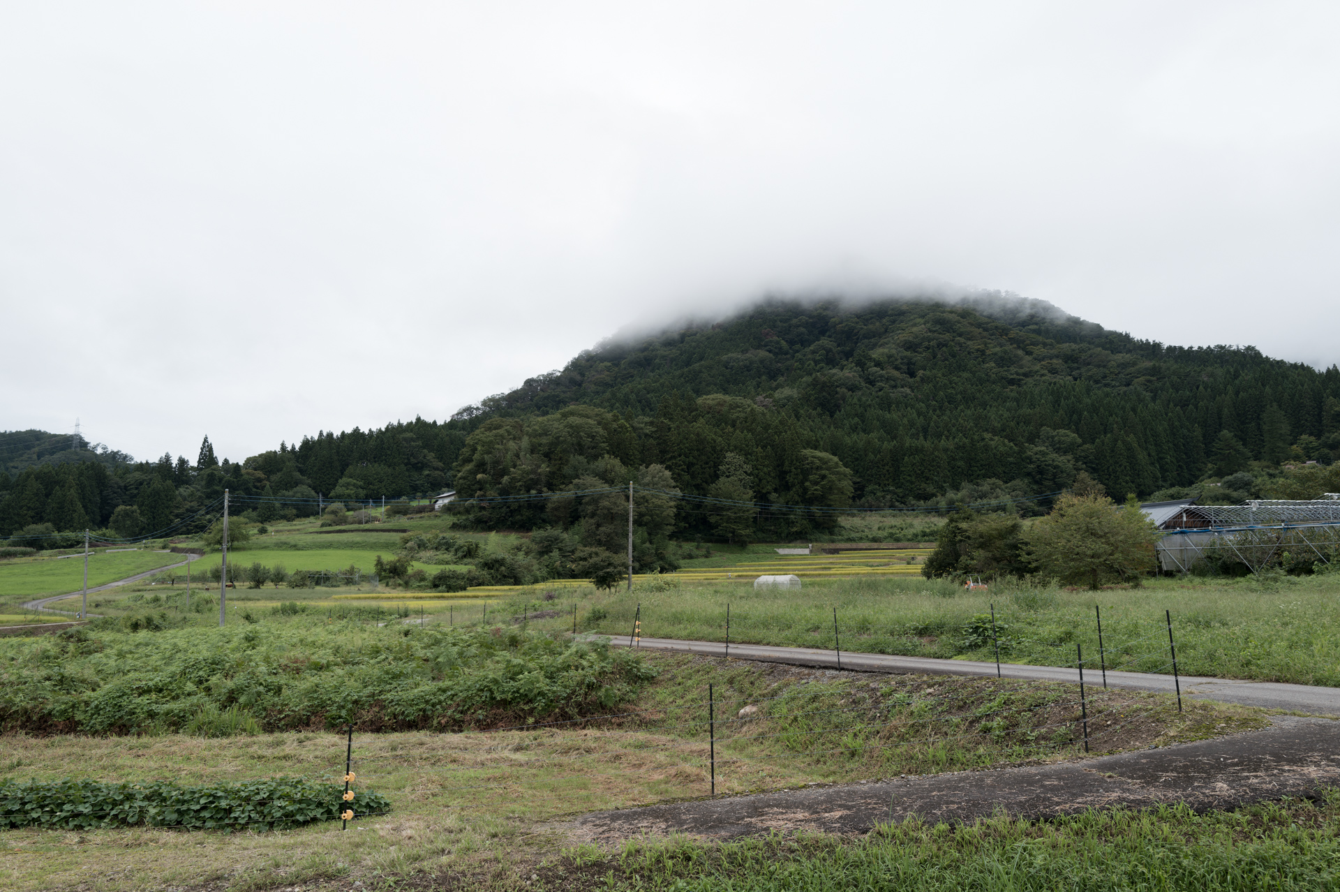 道の駅や里山カメラ館から5〜10分ほど歩くだけで、自然を感じられる景色に出会える。観光客のレンタサイクルともすれ違った