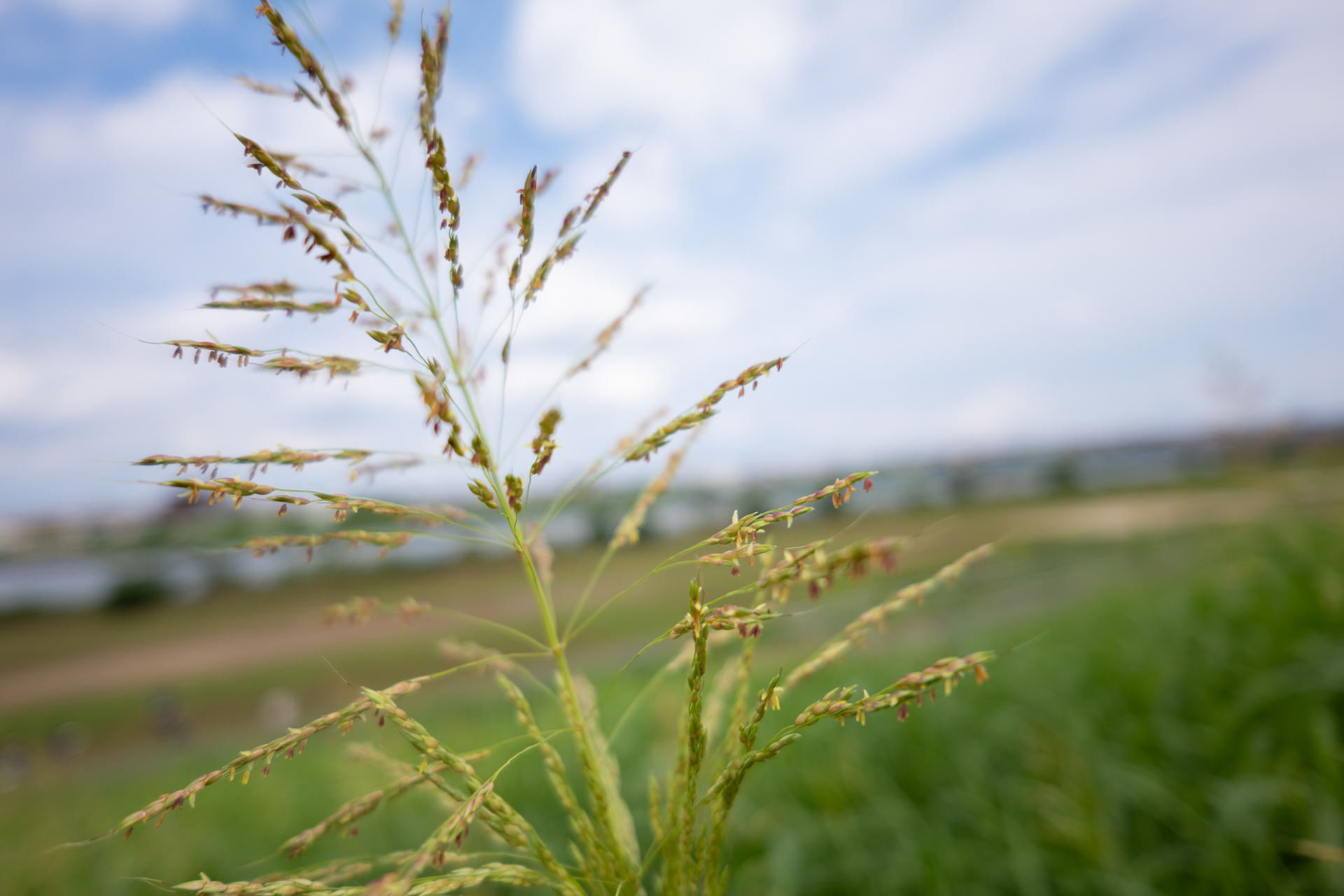 LUMIX S9／LUMIX S 20mm F2.5／絞り優先AE（1/2,000秒、F2.5）／ISO 100