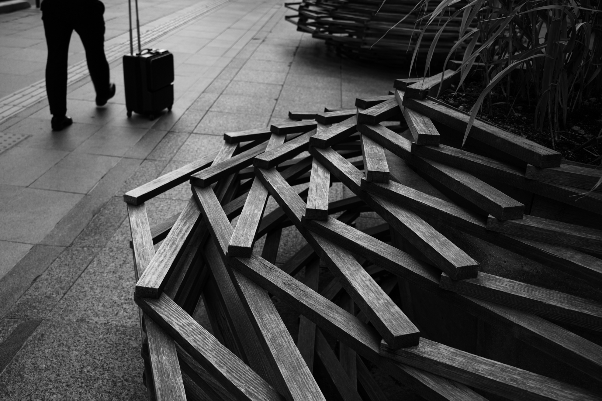 ソニー α7CR／絞り優先AE（1/100秒、F5.6）／35mm／ISO 100
