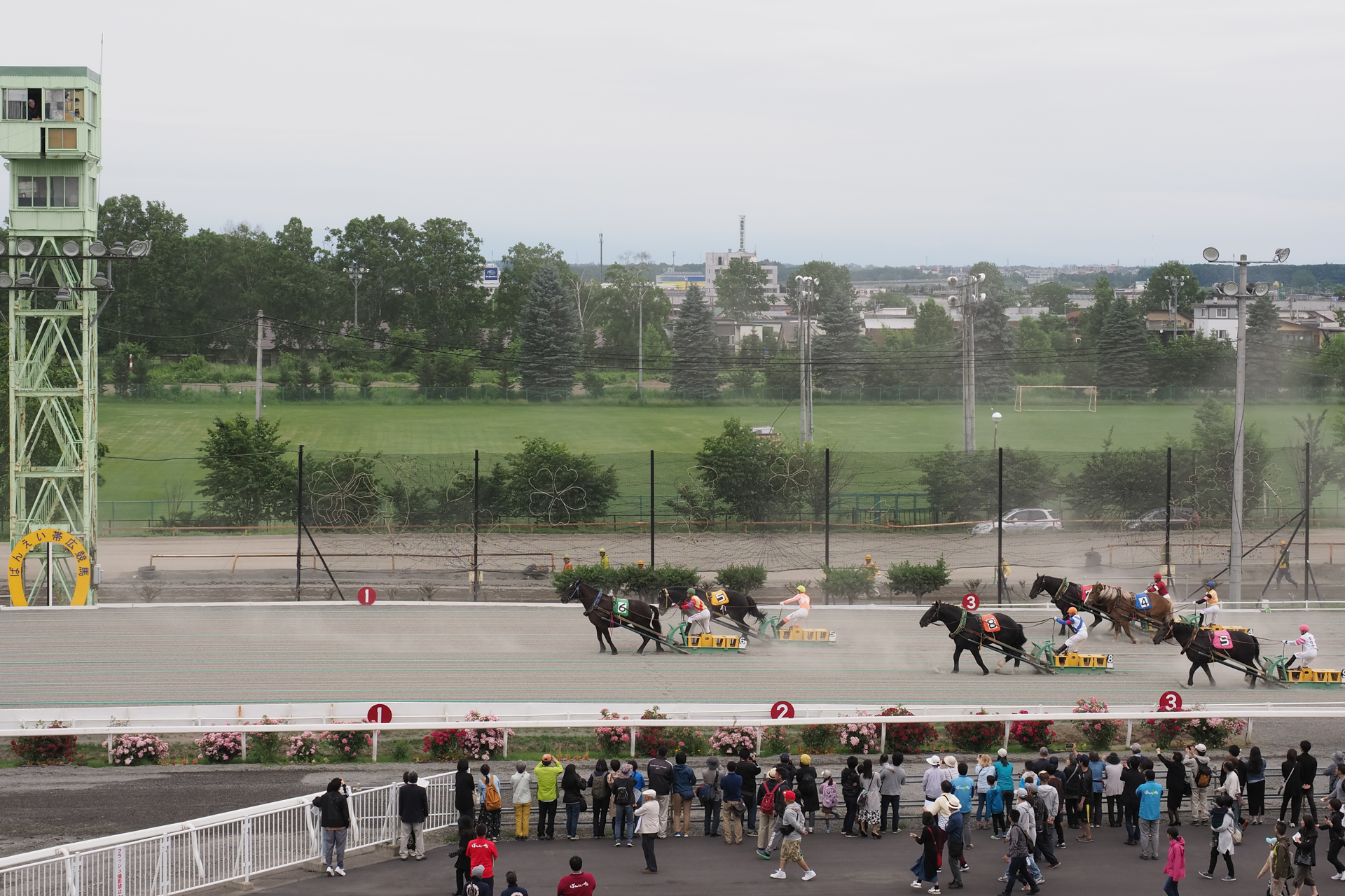 ばんえい競馬 レース