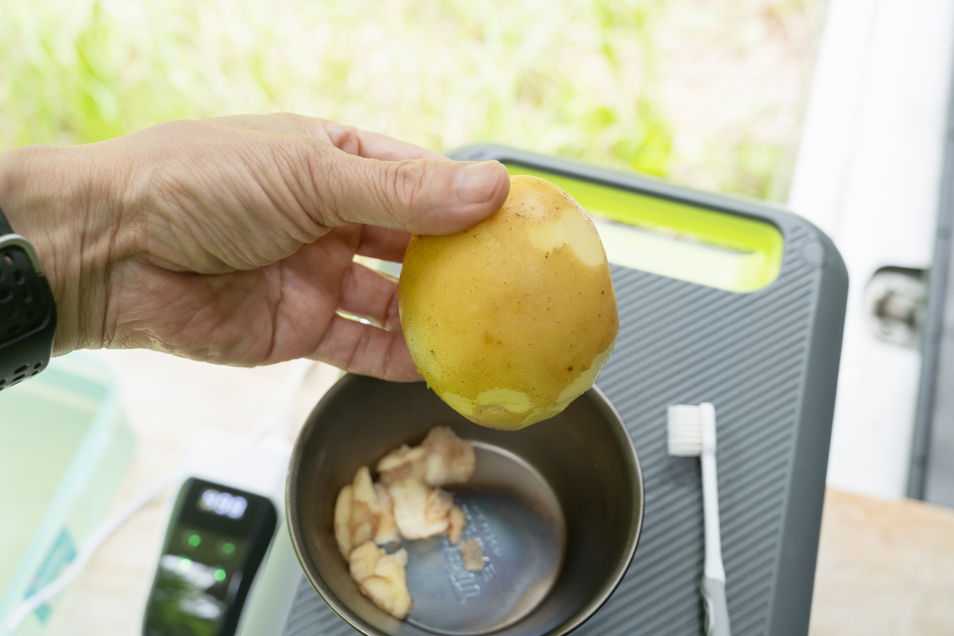 下に落とした皮と新芽。生ゴミはこれだけで済んだ