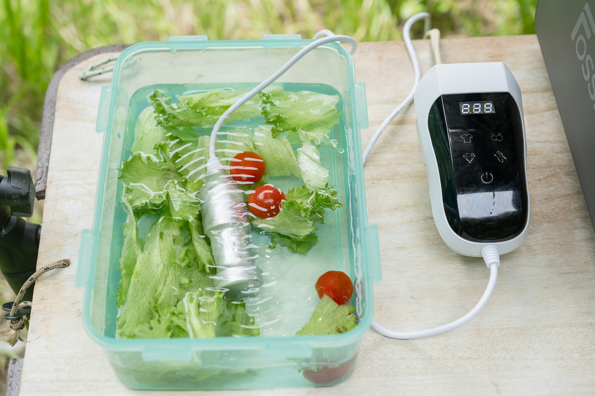 生野菜にも土が付いていたり、昆虫が潜んでいたりすることもあるので水洗い。超音波で手間要らず