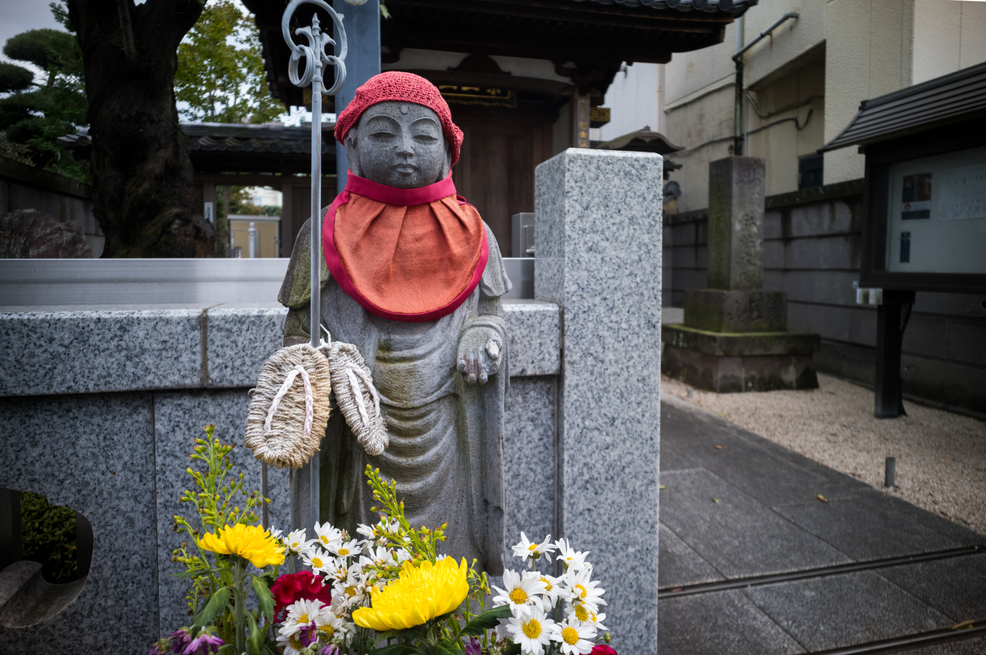 最短撮影距離は0.5mで絞り開放です。コントラストが少々弱い以外は問題のない画質で均質性も悪くないのです。EVFでフォーカシングしました。<br><span class="fnt-85">ライカM11-P／ルサール MP-2 20mm F5.6／20mm／絞り優先AE（1/500秒、F5.6、±0.0EV）／ISO 800</span>