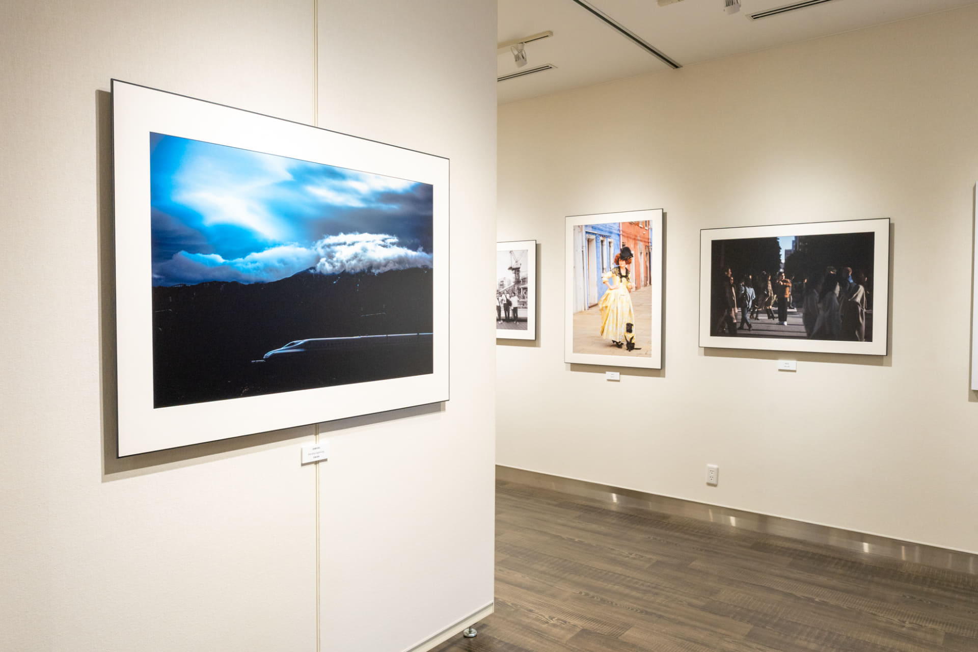 展示の様子