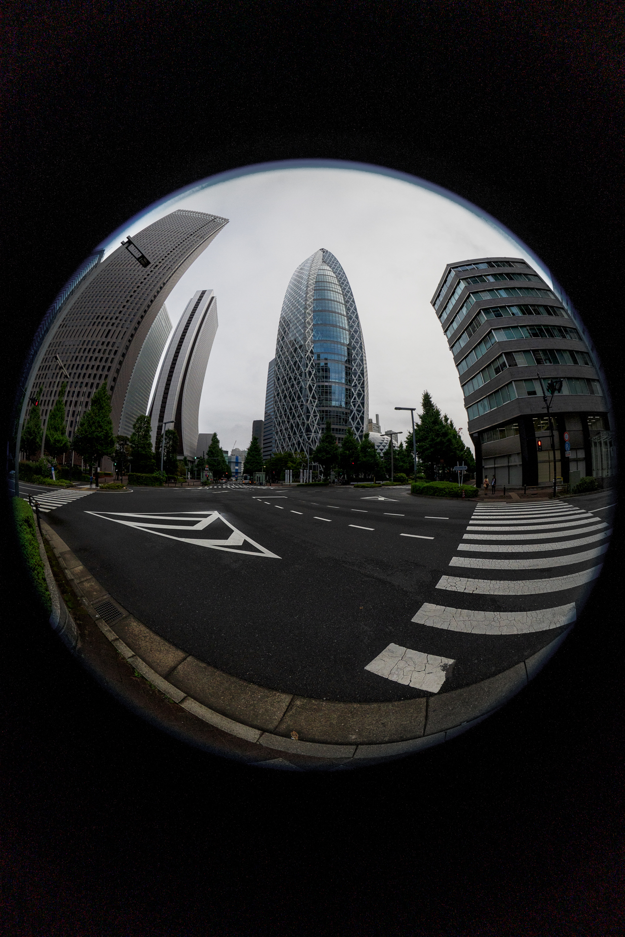 ソニー α7R V／FE 8-14mm F3.5 Fisheye G／8mm／絞り優先AE（1/2,000秒、F8、−2.3EV）／ISO 800