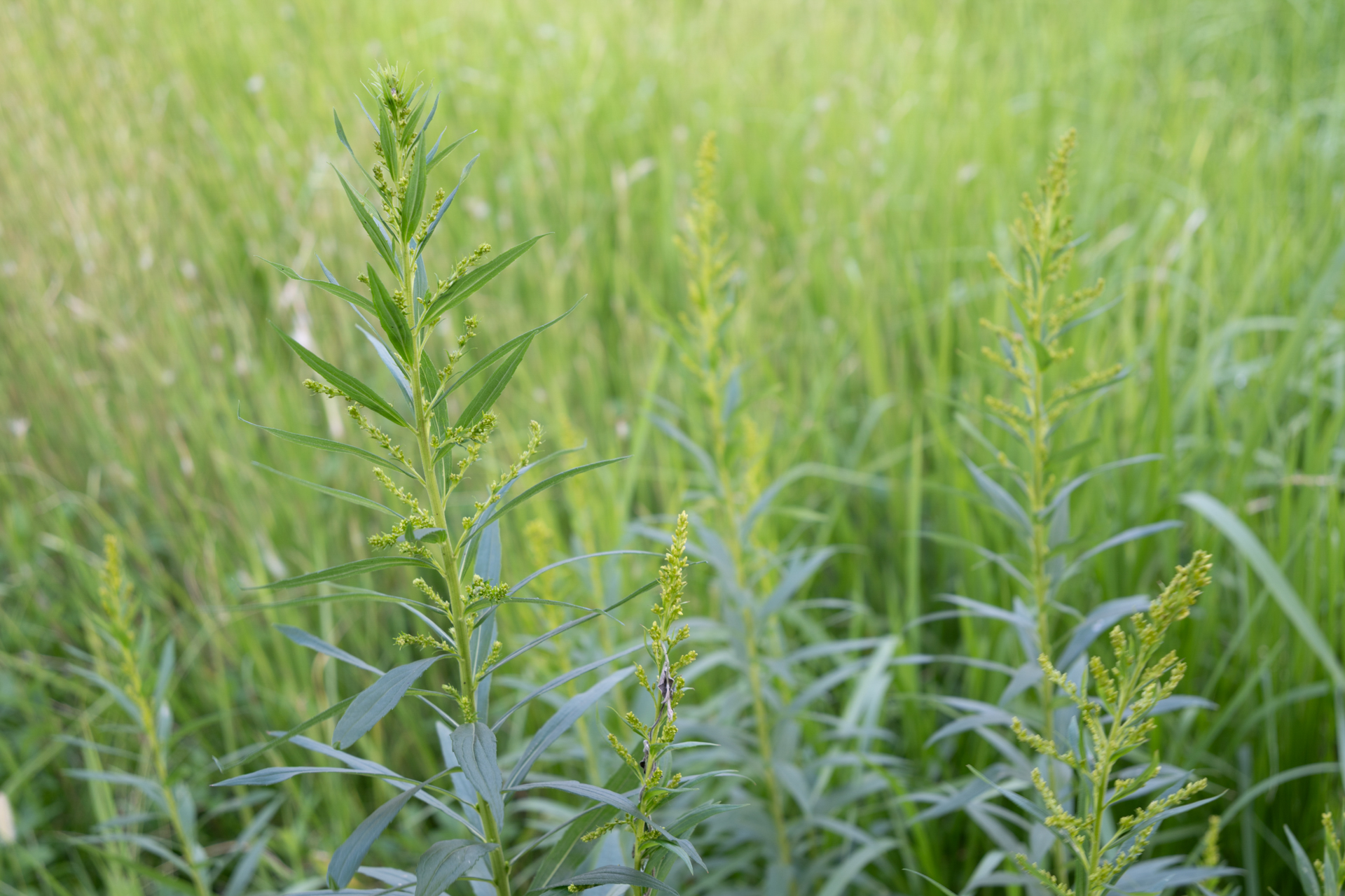 Z5IIC／NIKKOR Z 24-50mm f/4-6.3／絞り優先（1/50秒・F6.3）／50mm／ISO 100