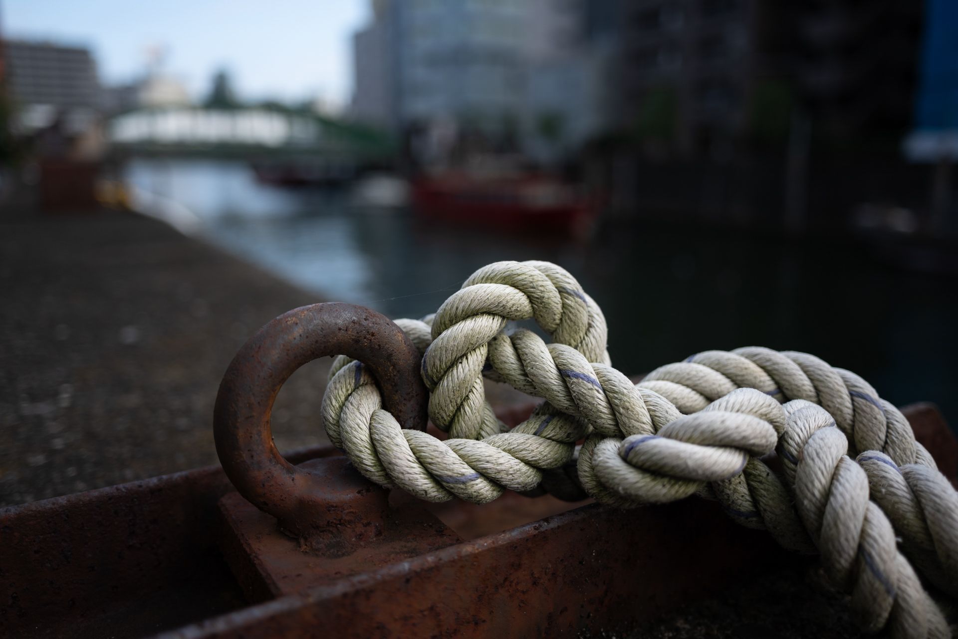 Z5IIC／NIKKOR Z 26mm f/2.8／絞り優先（1/640秒・F2.8）／ISO 100