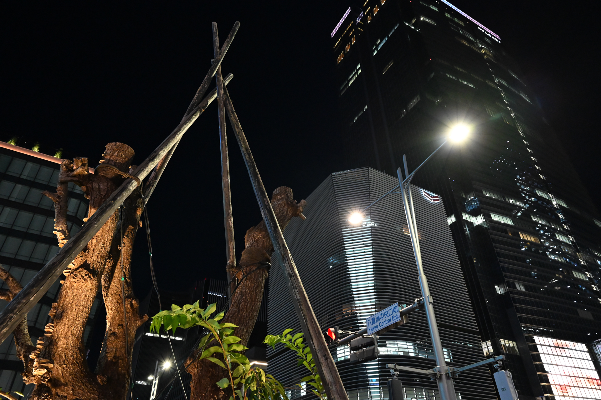 Z5IIC／NIKKOR Z 24-50mm f/4-6.3／マニュアル露出（1/125秒・F8）／24mm／ISO 6400