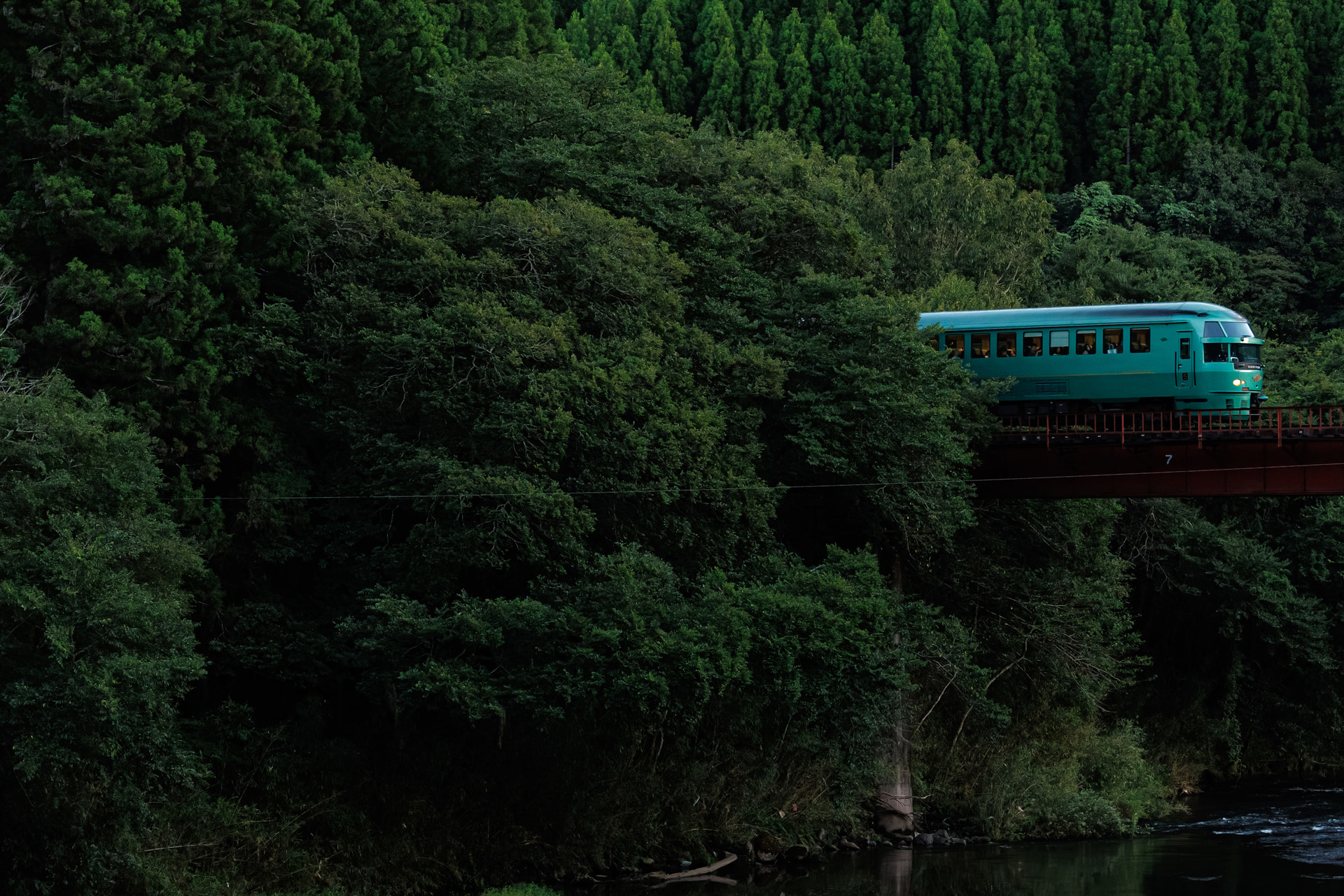 樹林を抜けて飛び出してくる「ゆふいんの森」。駅間のちょうど中央付近のため通過時刻も細かく把握できない状況だけに、非常に難易度が高いシーン。見通しが利かない環境のため飛び出す一瞬が分からず、緊張感は最高潮となる。そんなシビアなシーンでも40コマ/秒とプリ連続撮影を設定しておけば撮影の成果は大きく変わってくる<br><span class="fnt-85">キヤノン EOS R8 Mark II／RF70-200mm F4 L IS USM／82mm／マニュアル露出（F4、1/1,000秒）／ISO 3200／WB：オート／JR久大本線</span>
