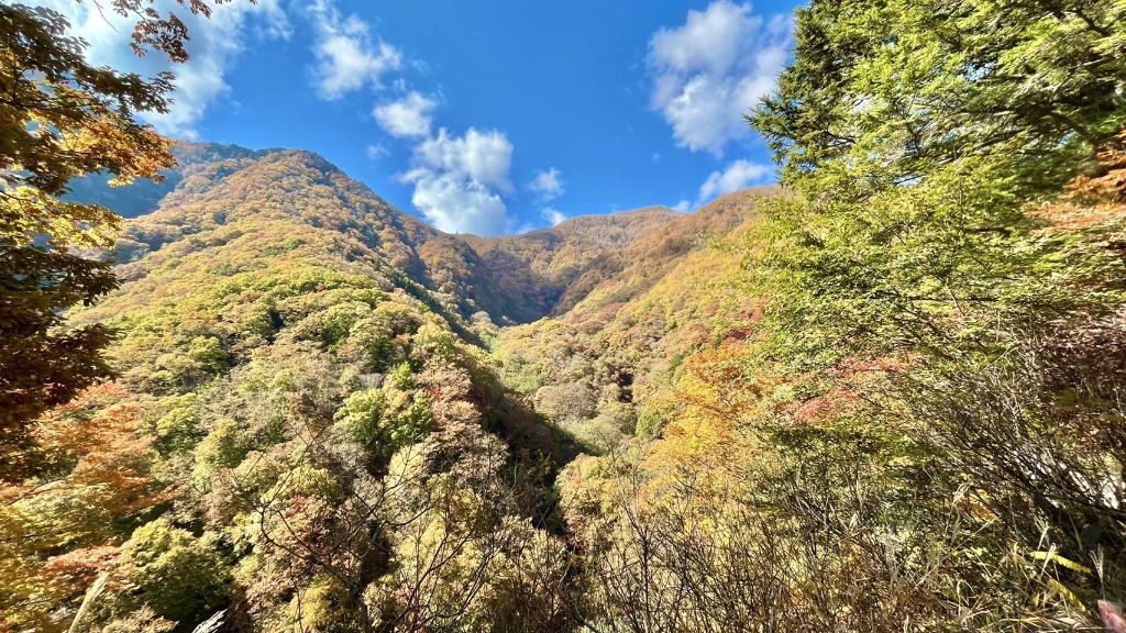 秋色に染まる山肌
