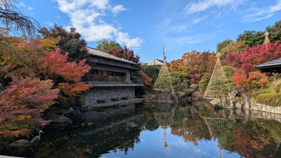 秋色に染まる日本庭園