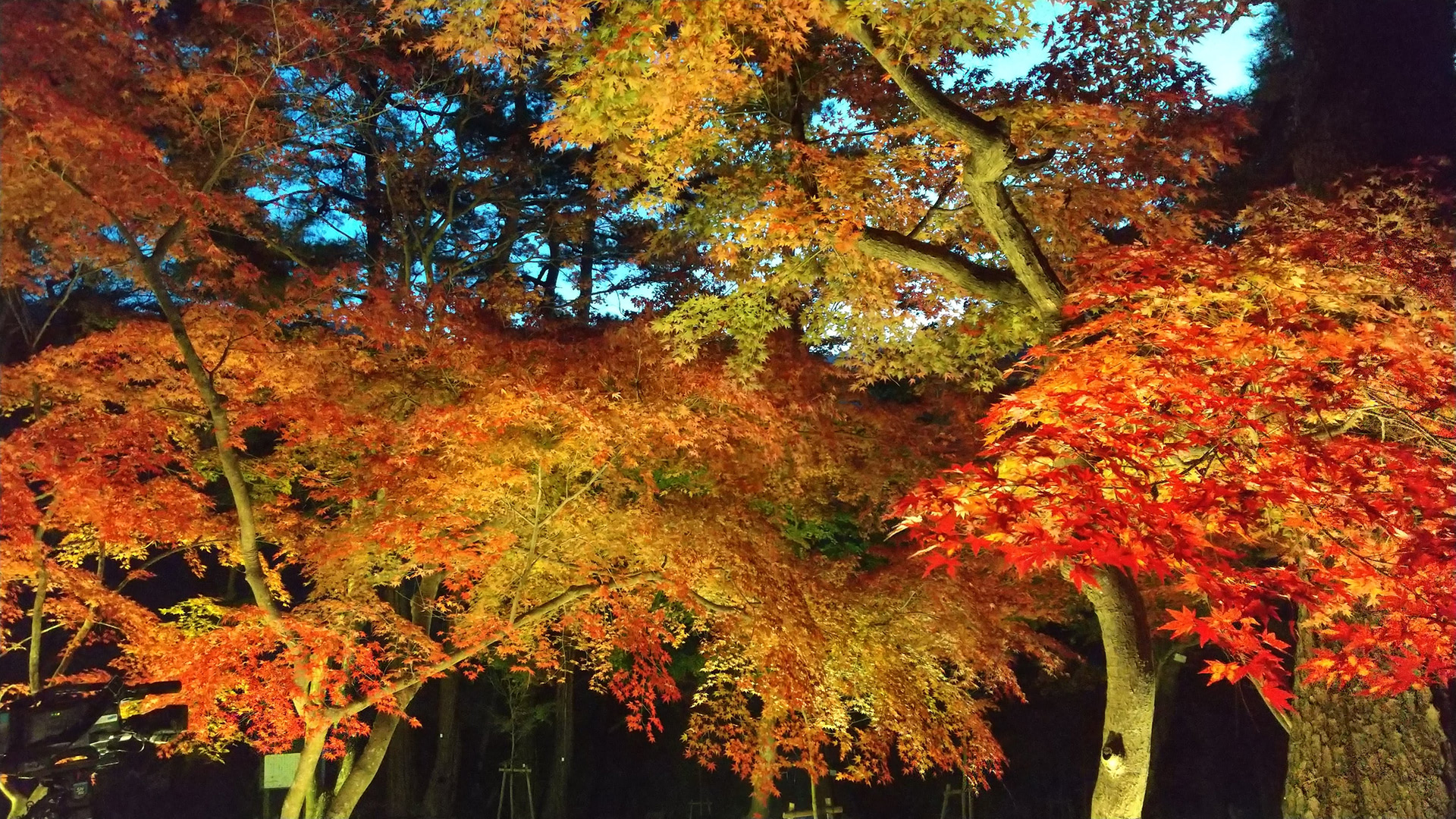 月の石もみじ公園