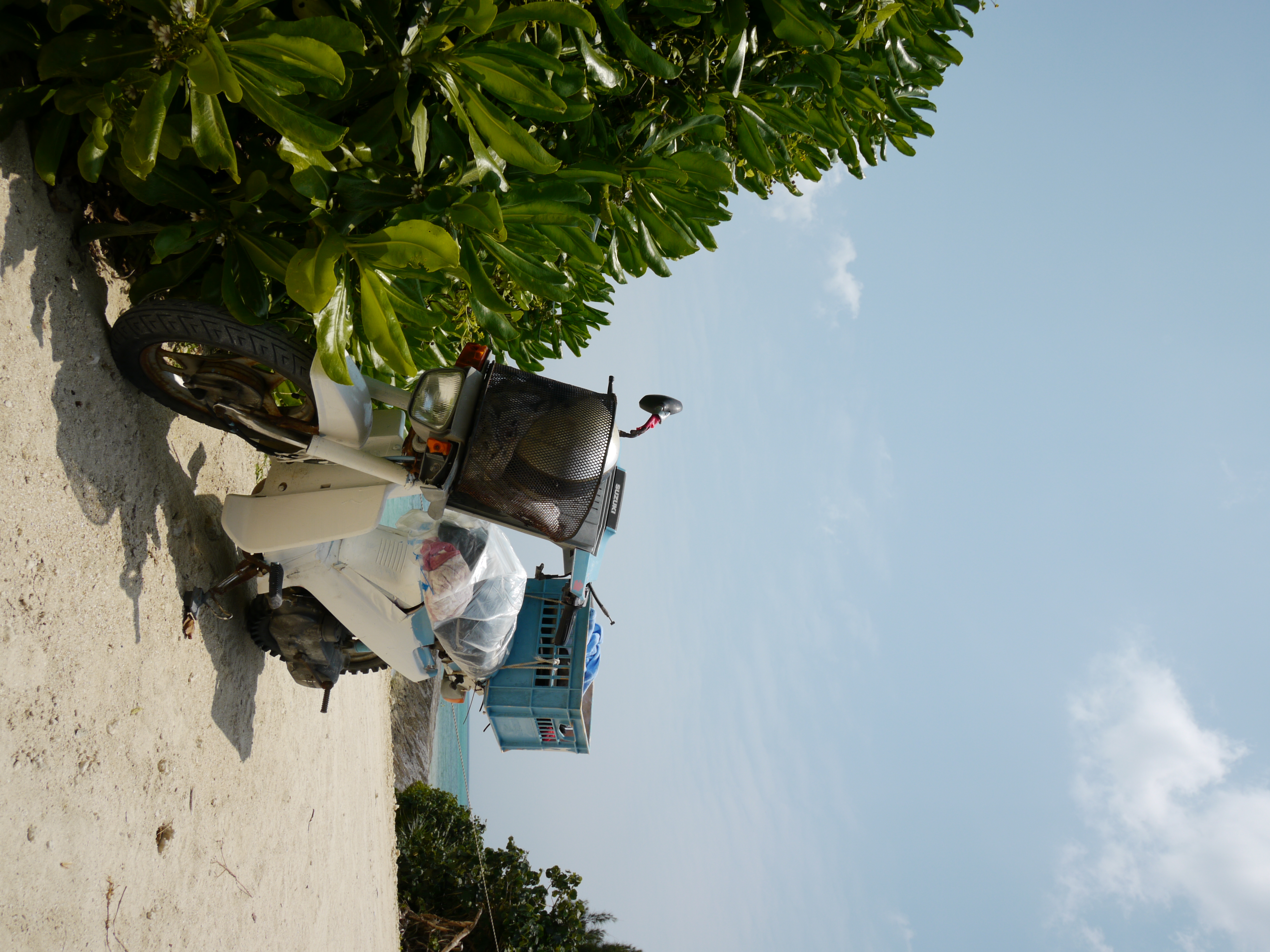 <b>DMC-GH1 / LUMIX G VARIO 7-14mm F4 ASPH. / 約5.5MB / 3,000×4,000 / 1/500秒 / F8 / +0.7EV / ISO100 / WB:晴天 / 13mm</b>