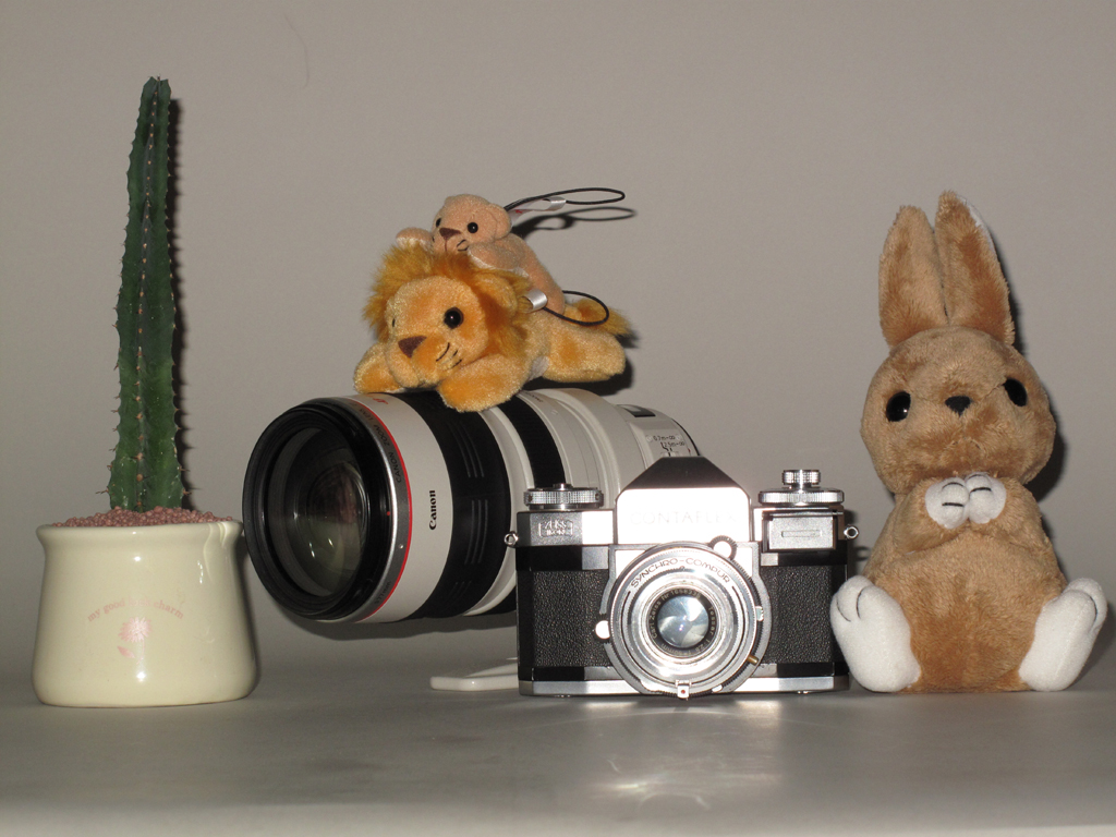 <b>内蔵ストロボで撮影。被写体の右側に濃い影が出てしまった。カメラの反射が鋭すぎて文字が読めない</b>