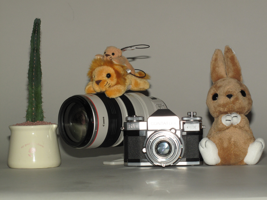 <b>270EXを直射。背後の影が下に出るので、内蔵ストロボよりは目立たないが、カメラの反射はいただけない</b>