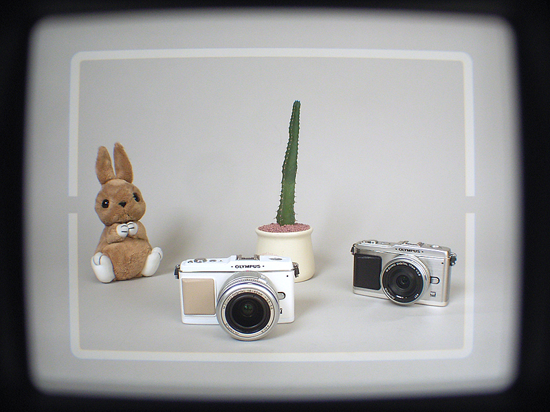 <b>35mm判換算で34mm相当のブライトフレームが見える</b>