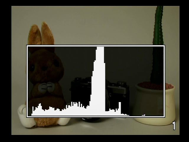 <b>ヒストグラムを中央に表示することもできる</b>