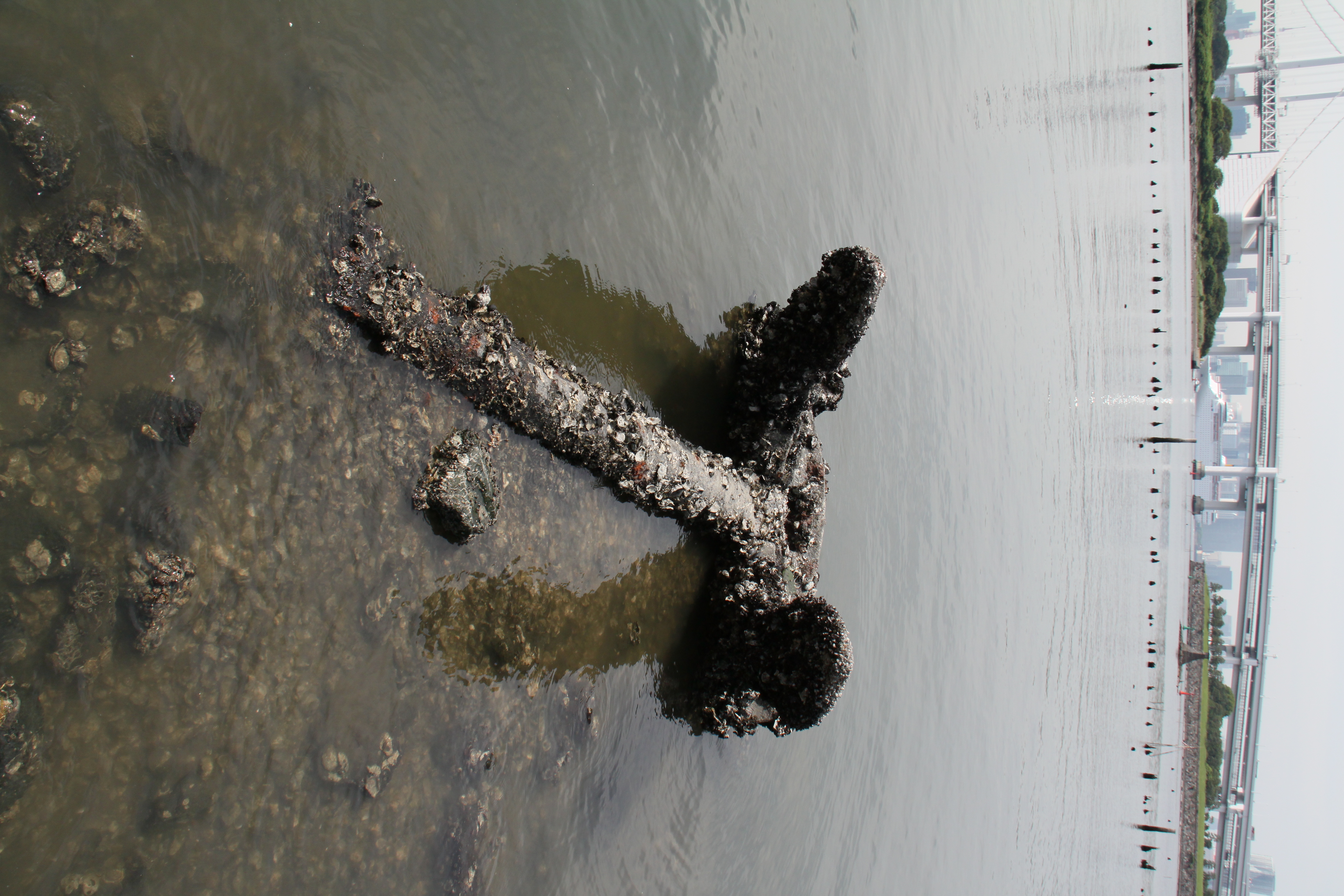 <b>EF-S 18-200mm F3.5-5.6 IS / 4,752×3,168 / 1/320秒 / F10 / -0.3EV / ISO200 / WB:太陽光 / 18mm（29mm相当）</b>