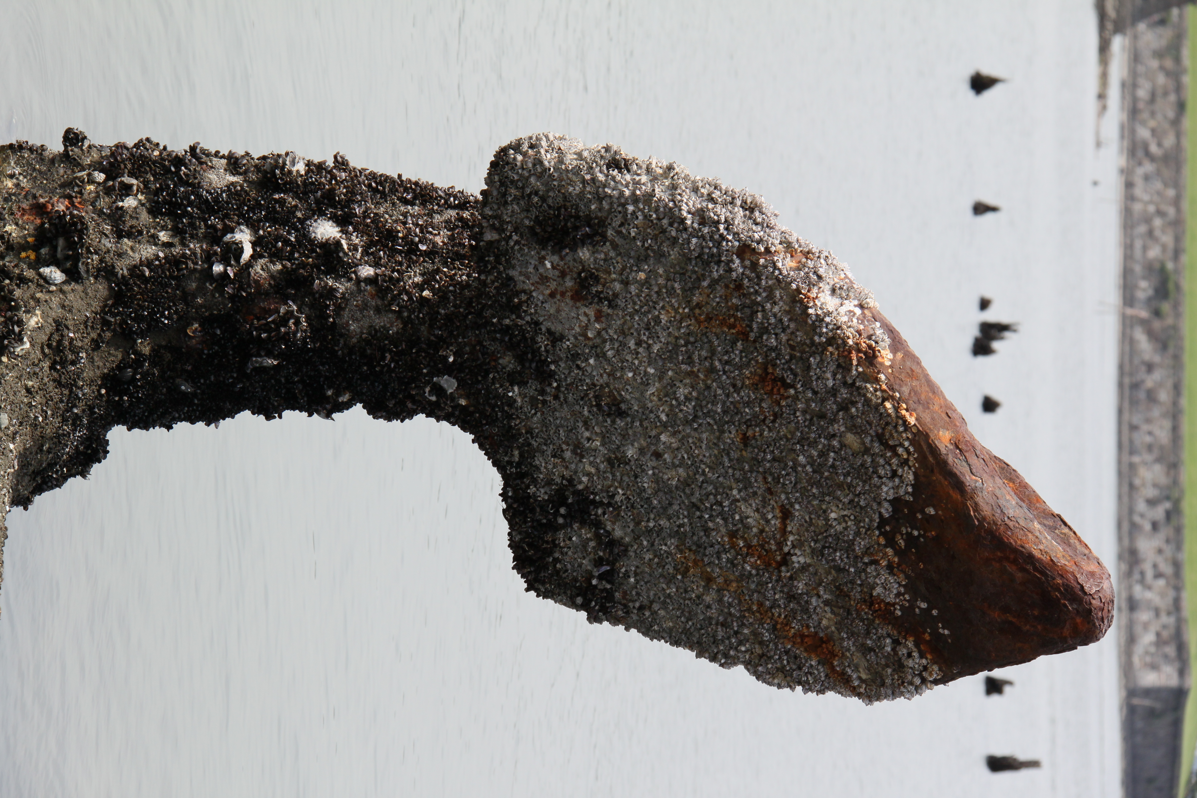 <b>EF-S 18-200mm F3.5-5.6 IS / 4,752×3,168 / 1/250秒 / F9 / －0.7EV / ISO200 / WB:太陽光 / 90mm（144mm相当）</b>