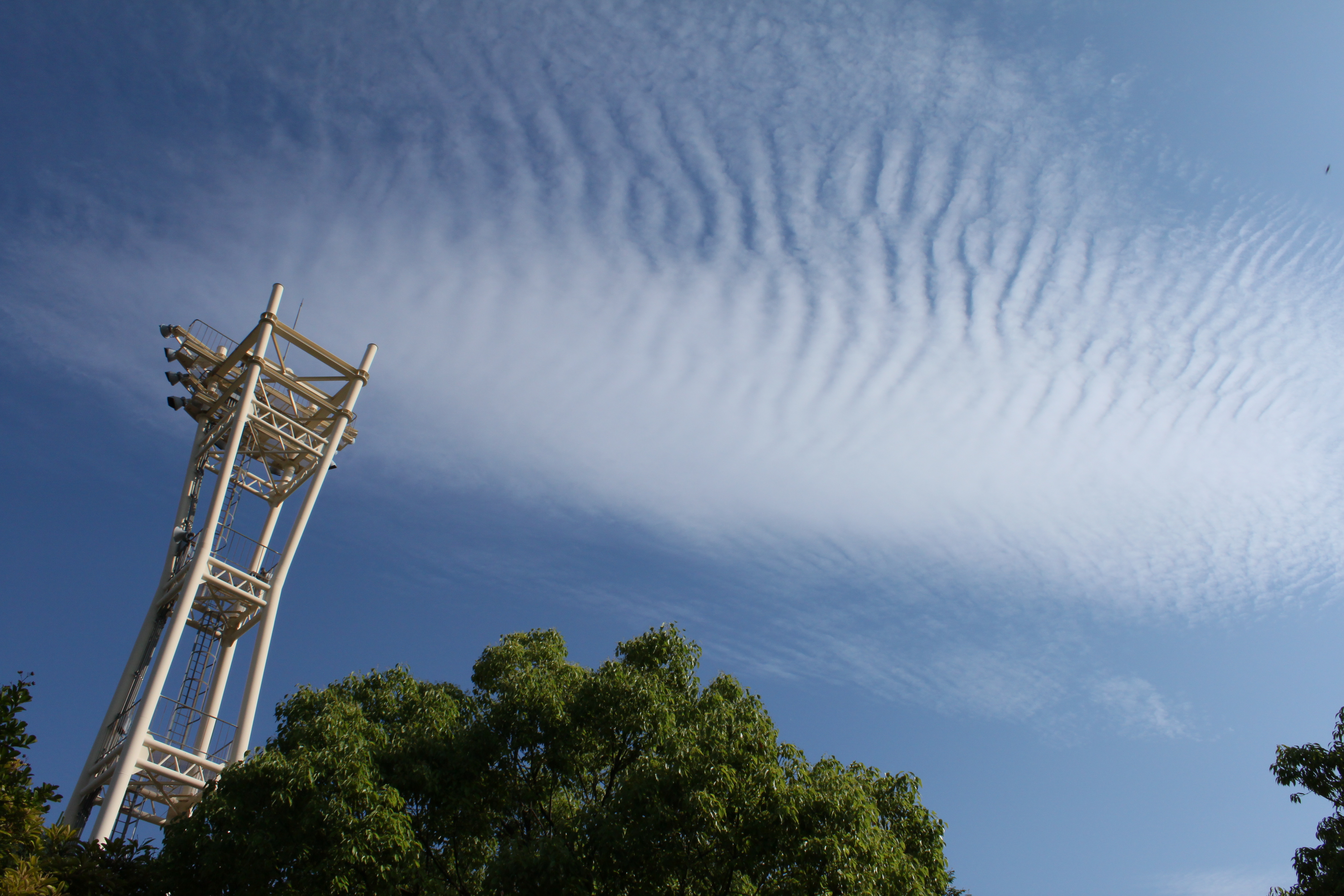 <b>EF-S 18-55mm F3.5-5.6 IS / 4,752×3,168 / 1/500秒 / F13 / 0EV / ISO200 / WB:太陽光 / 18mm（29mm相当）</b>