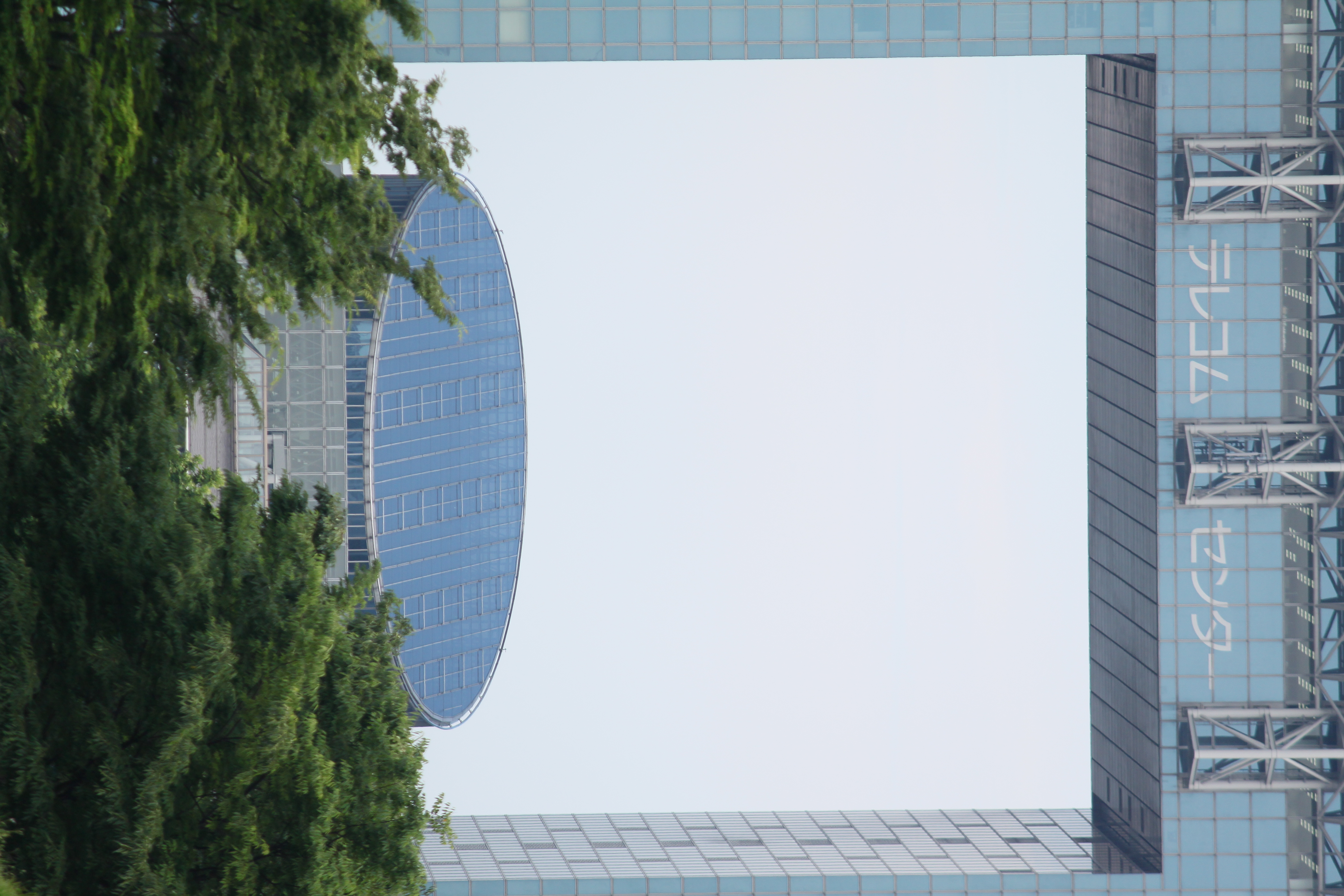 <b>EF-S 55-250mm F4-5.6 IS / 4,752×3,168 / 1/320秒 / F6.3 / +0.3EV / ISO200 / WB:太陽光 / 229mm（366mm相当）</b>