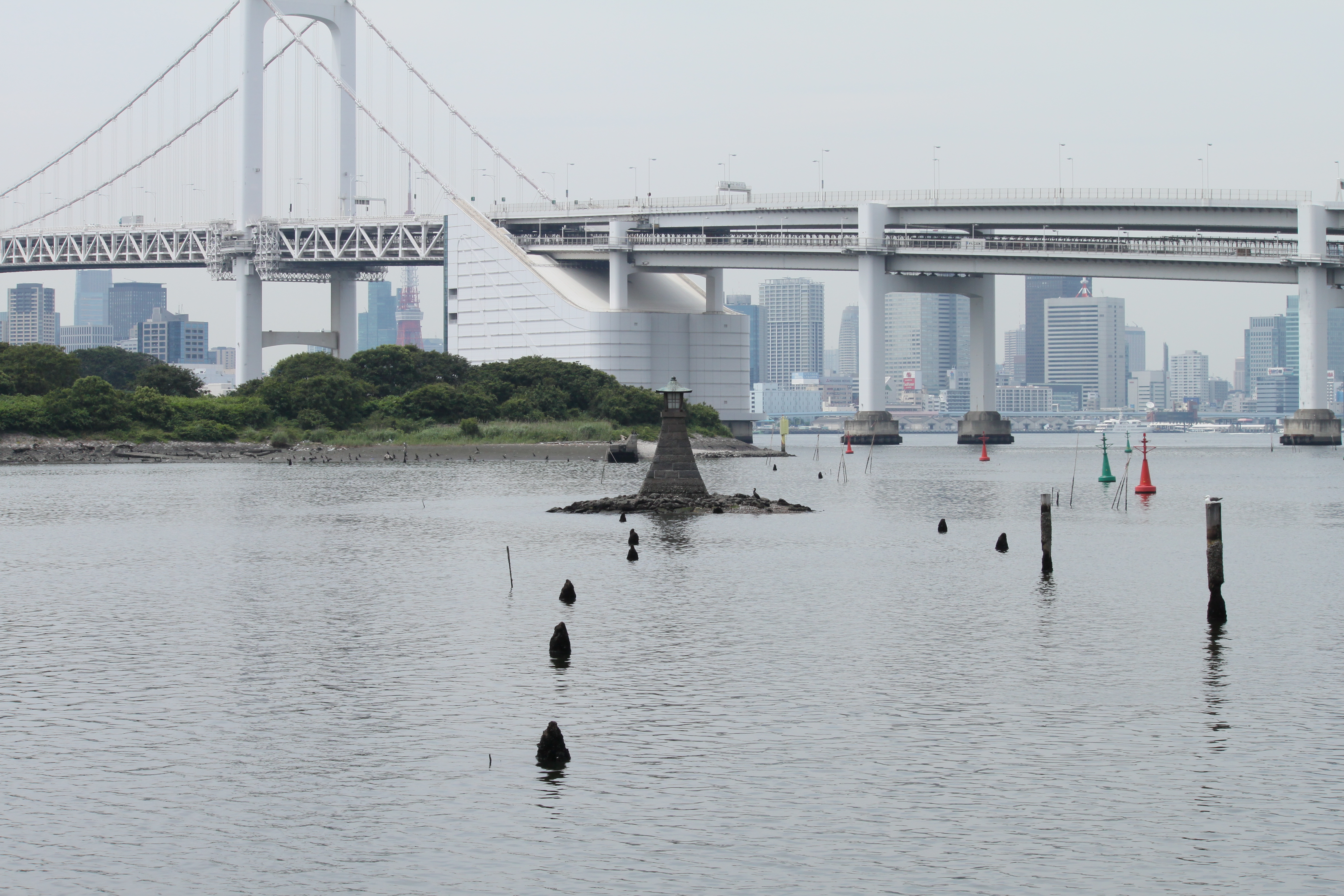 <b>EF-S 55-250mm F4-5.6 IS / 4,752×3,168 / 1/320秒 / F11 / 0EV / ISO200 / WB:オート / 55mm（88mm相当）</b>