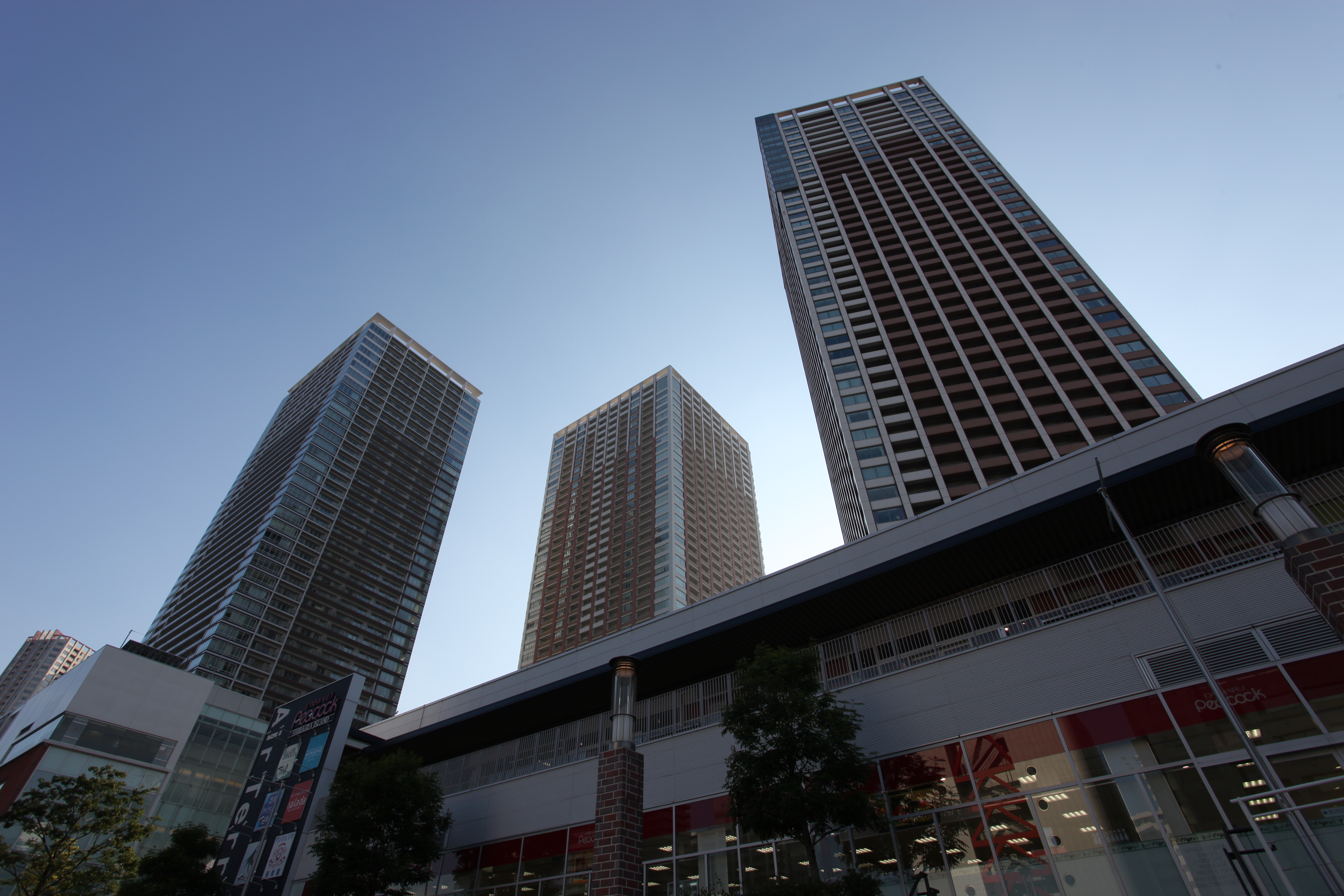 <b>HTP：しない / ALO：しない</b>