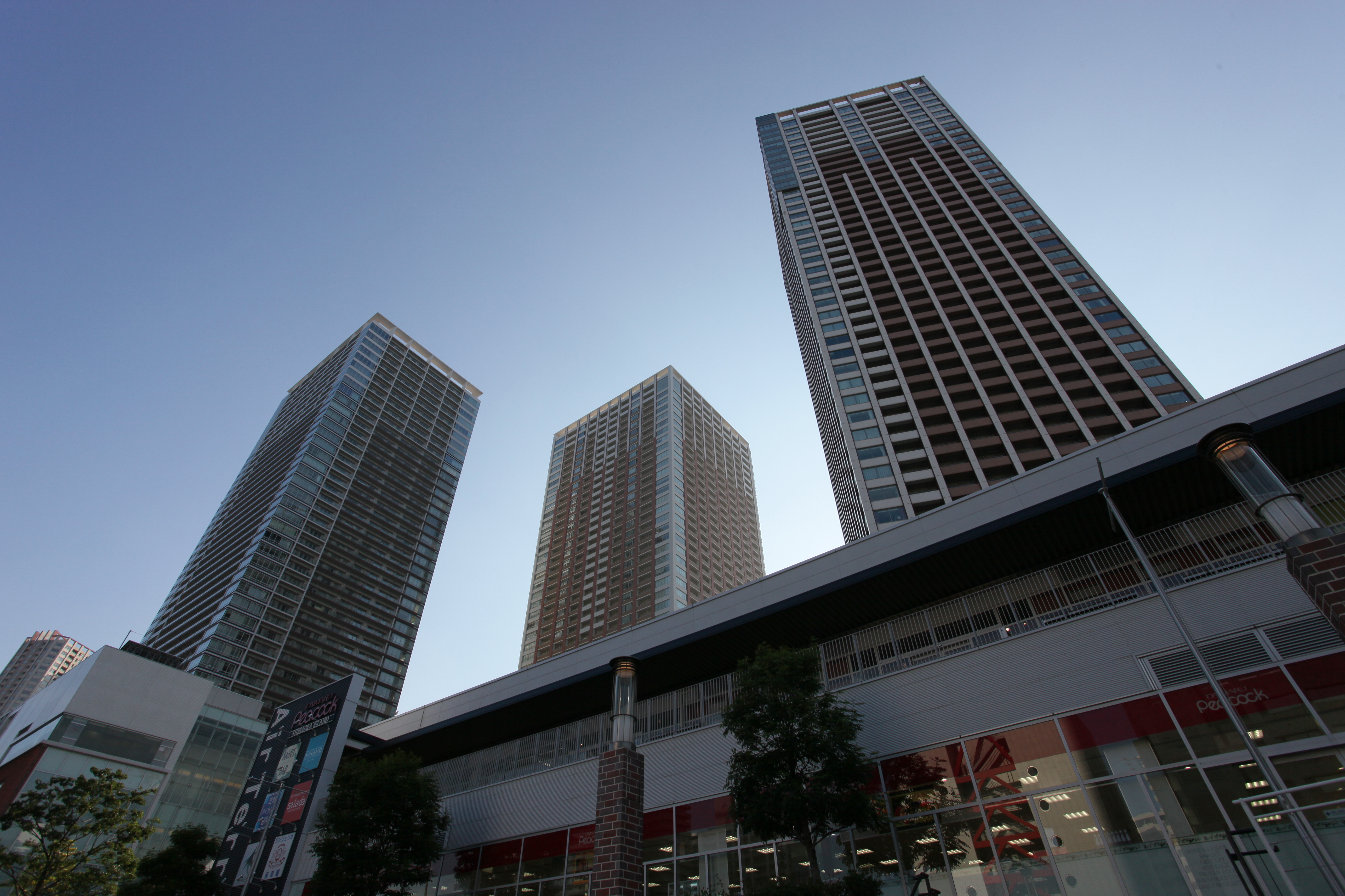 <b>HTP：する / ALO：標準</b>