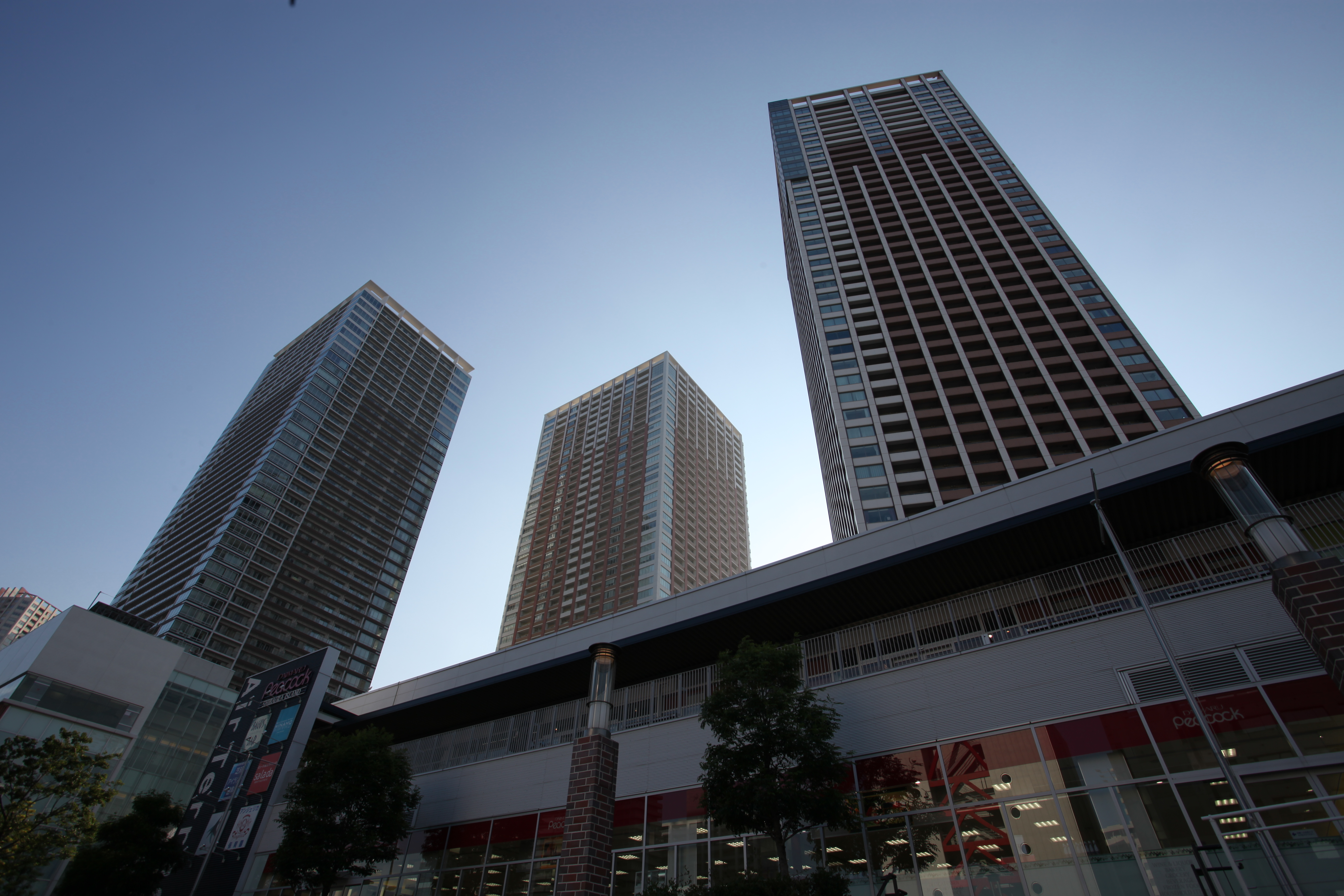 <b>HTP：しない / ALO：弱め</b>