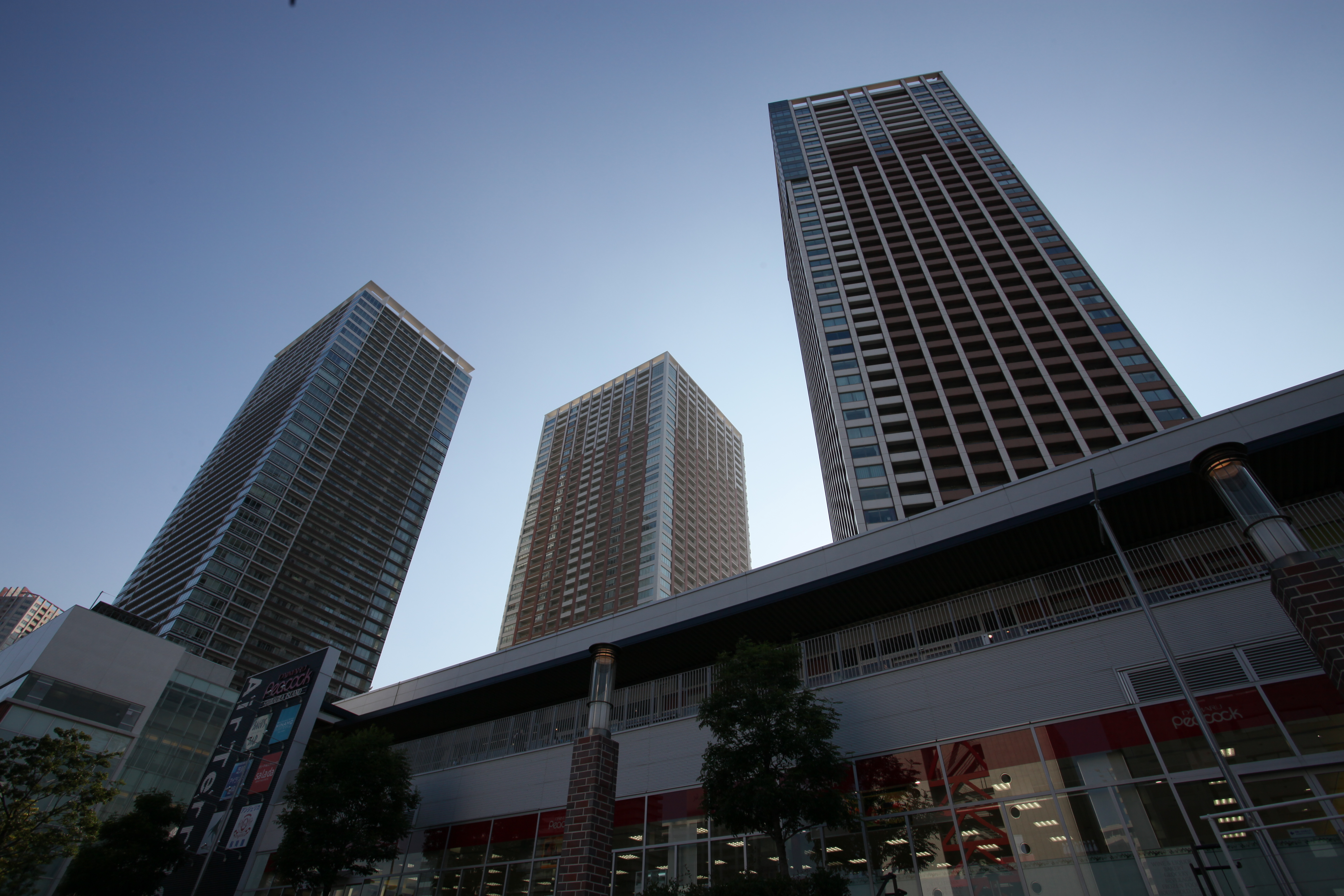 <b>HTP：する / ALO：強め</b>