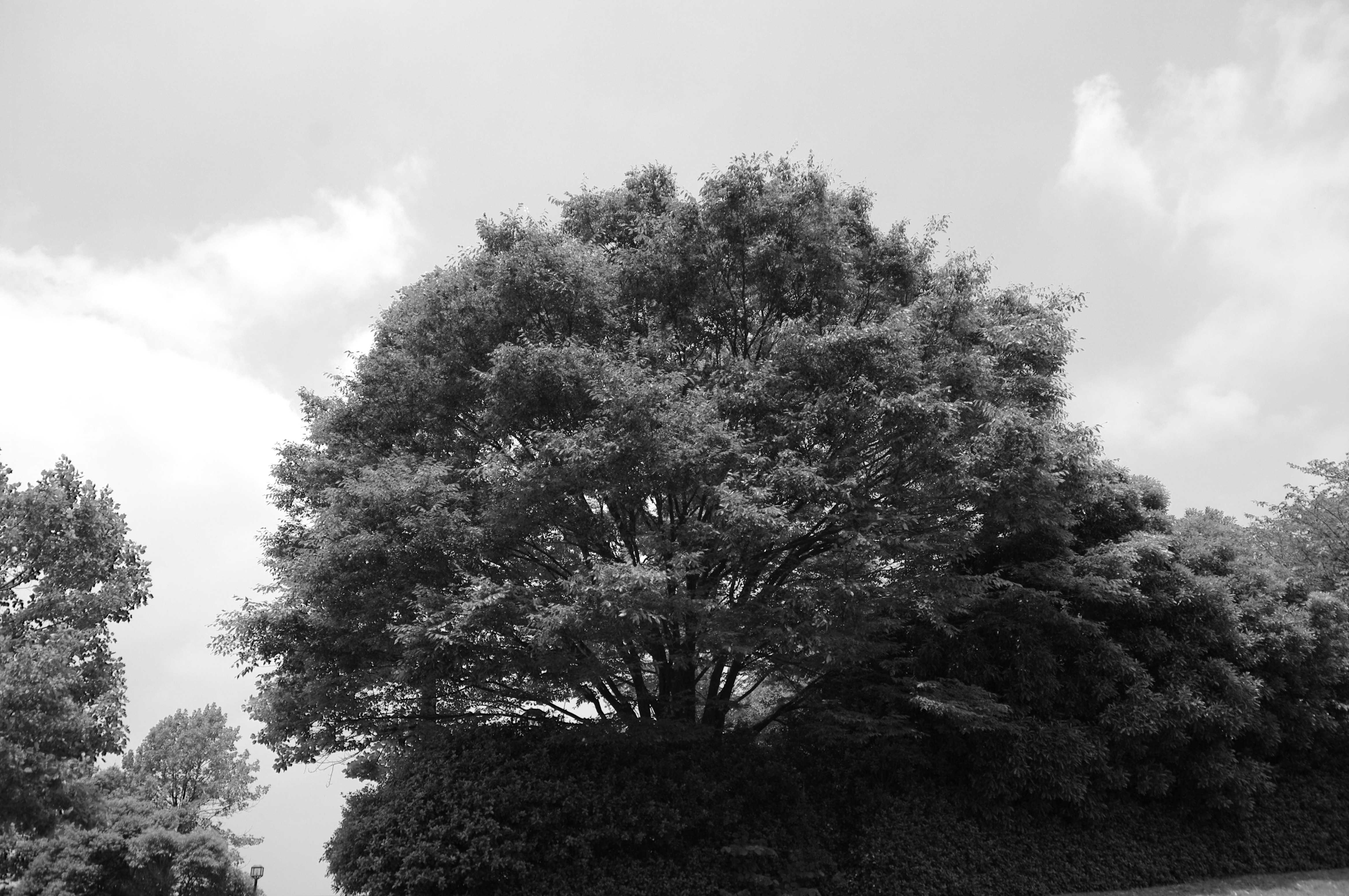 <b>K20D / DA 16-45mm F4 ED AL / 約6.4MB / 4,672×3,104 / 1/400秒 / F5.6 / 0EV / ISO100 / WB:オート / 16mm</b>