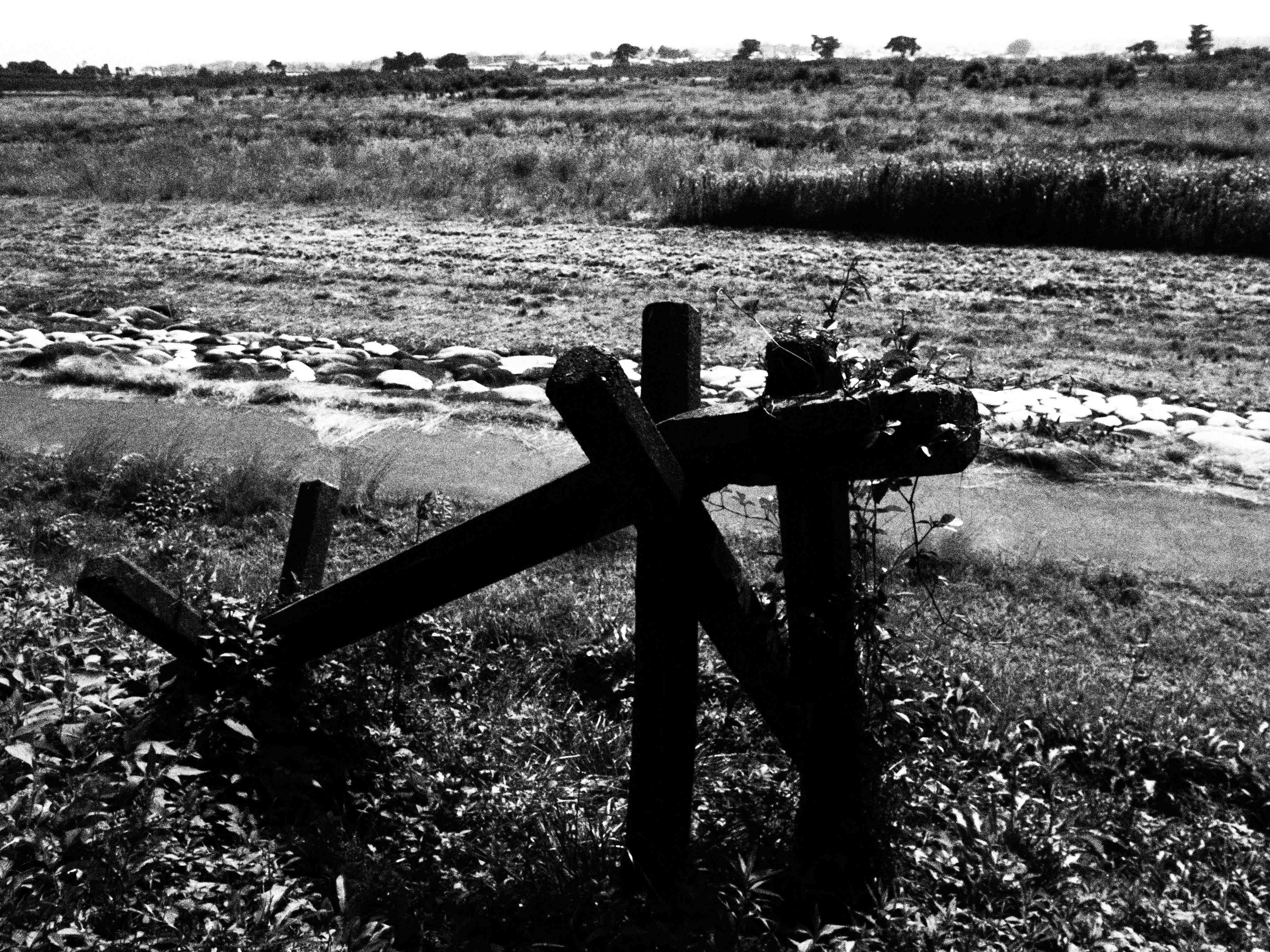 <b>E-30 / ZUIKO DIGITAL 14-54mm F2.8-3.5 / 約2.0MB / 4,032×3,024 / 1/400秒 / F6.3 / 0EV / ISO200 / WB:オート / 14mm</b>