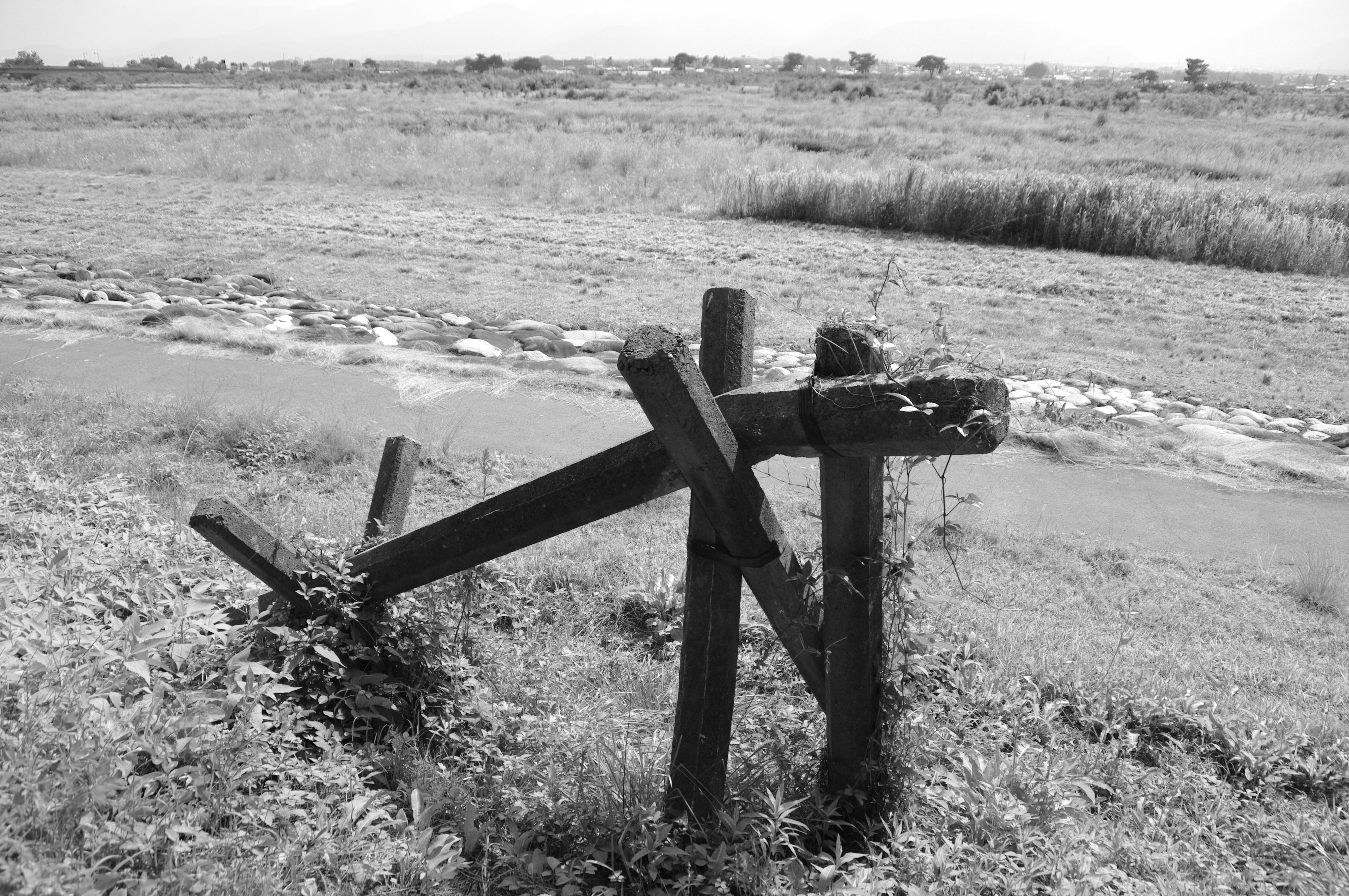 <b>K20D / DA 16-45mm F4 ED AL / 約5.9MB / 4,672×3,104 / 1/250秒 / F5.6 / 0EV / ISO100 / WB:オート / 16mm</b>