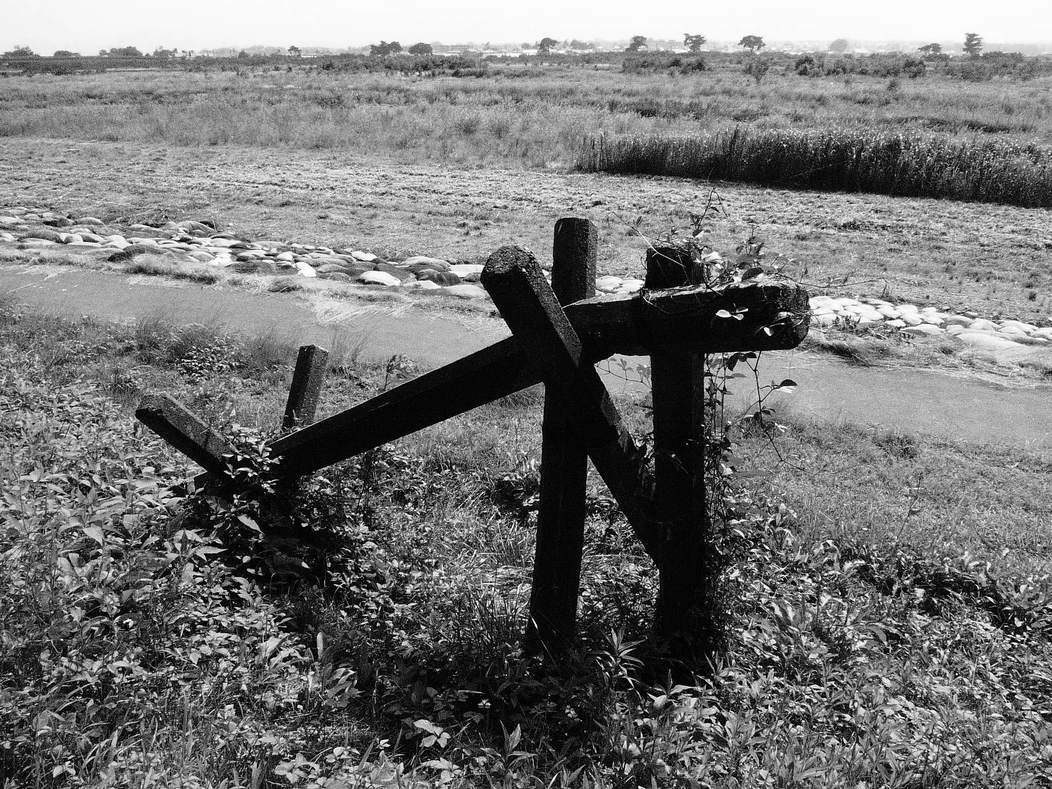 <b>DMC-LX3 / 約799K / 2,048×1,536 / 1/2,000秒 / F8 / 0EV / ISO1600 / WB:オート / 5.1mm</b>