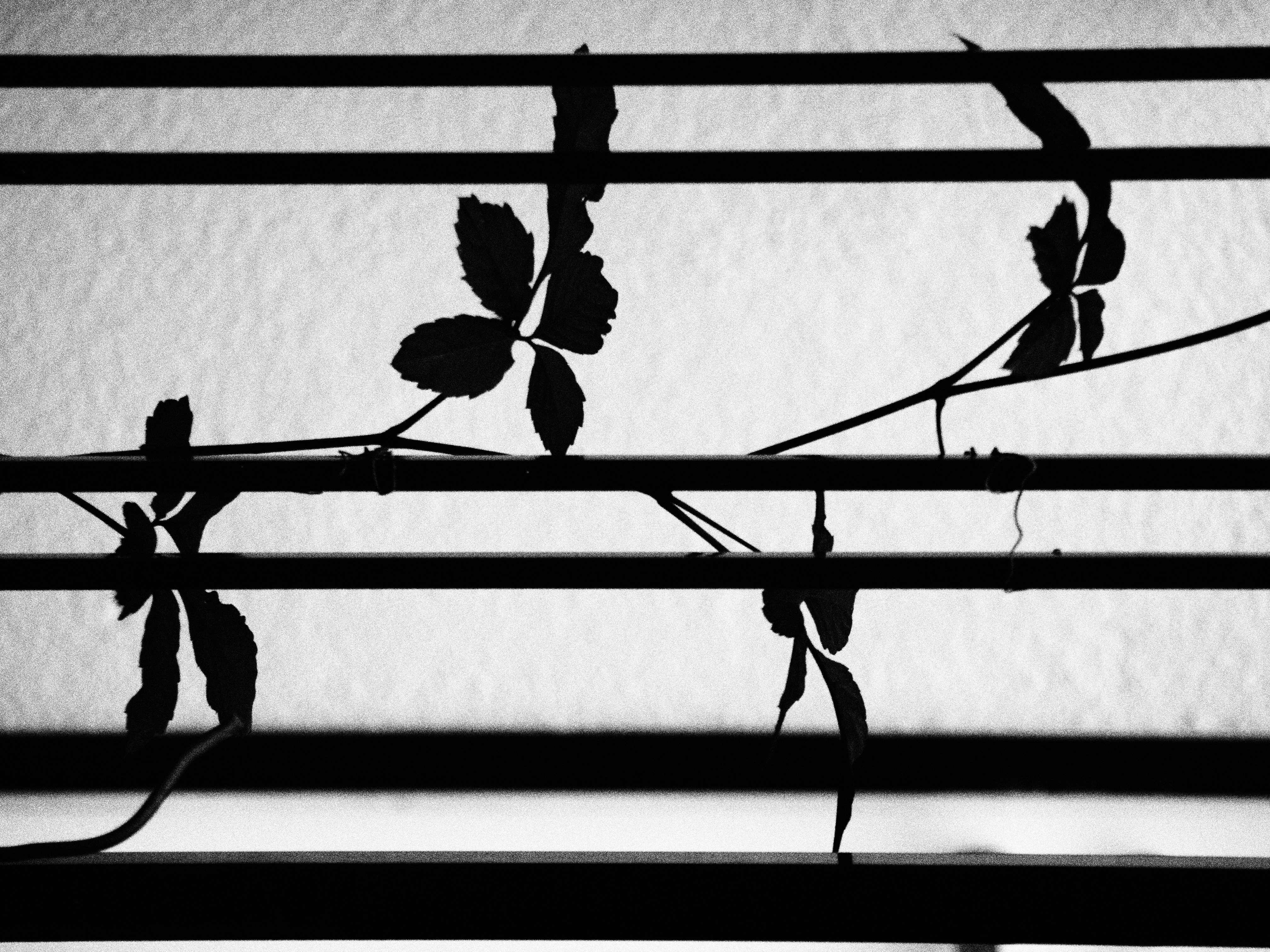 <b>E-30 / ZUIKO DIGITAL ED 40-150mm F4-5.6 / 約2.1MB / 3,024×4,032 / 1/250秒 / F5.3 / 0EV / ISO320 / WB:オート / 119mm</b>