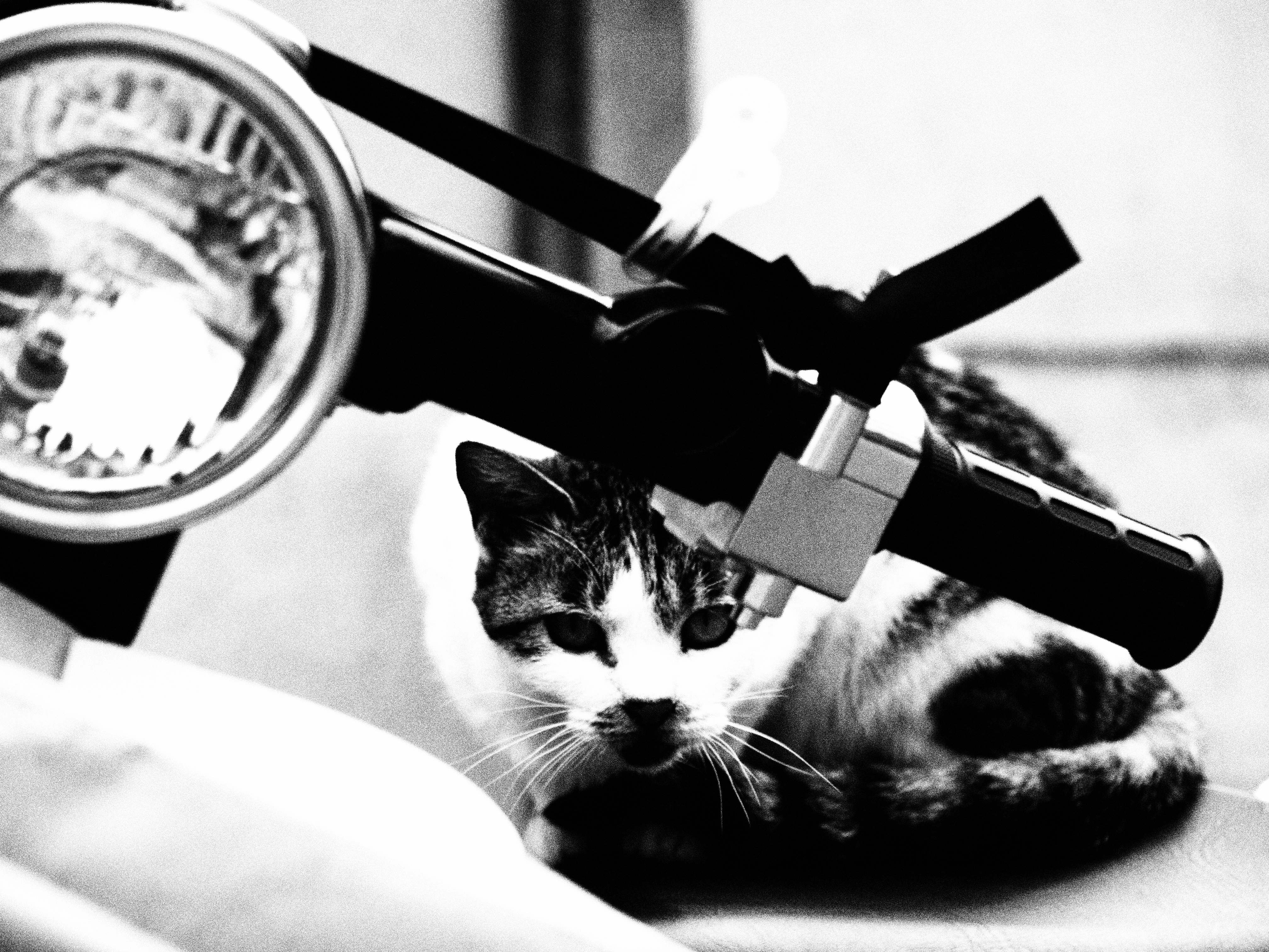 <b>E-30 / ZUIKO DIGITAL ED 40-150mm F4-5.6 / 約2.3MB / 4,032×3,024 / 1/250秒 / F5.2 / 0EV / ISO250 / WB:オート / 110mm</b>