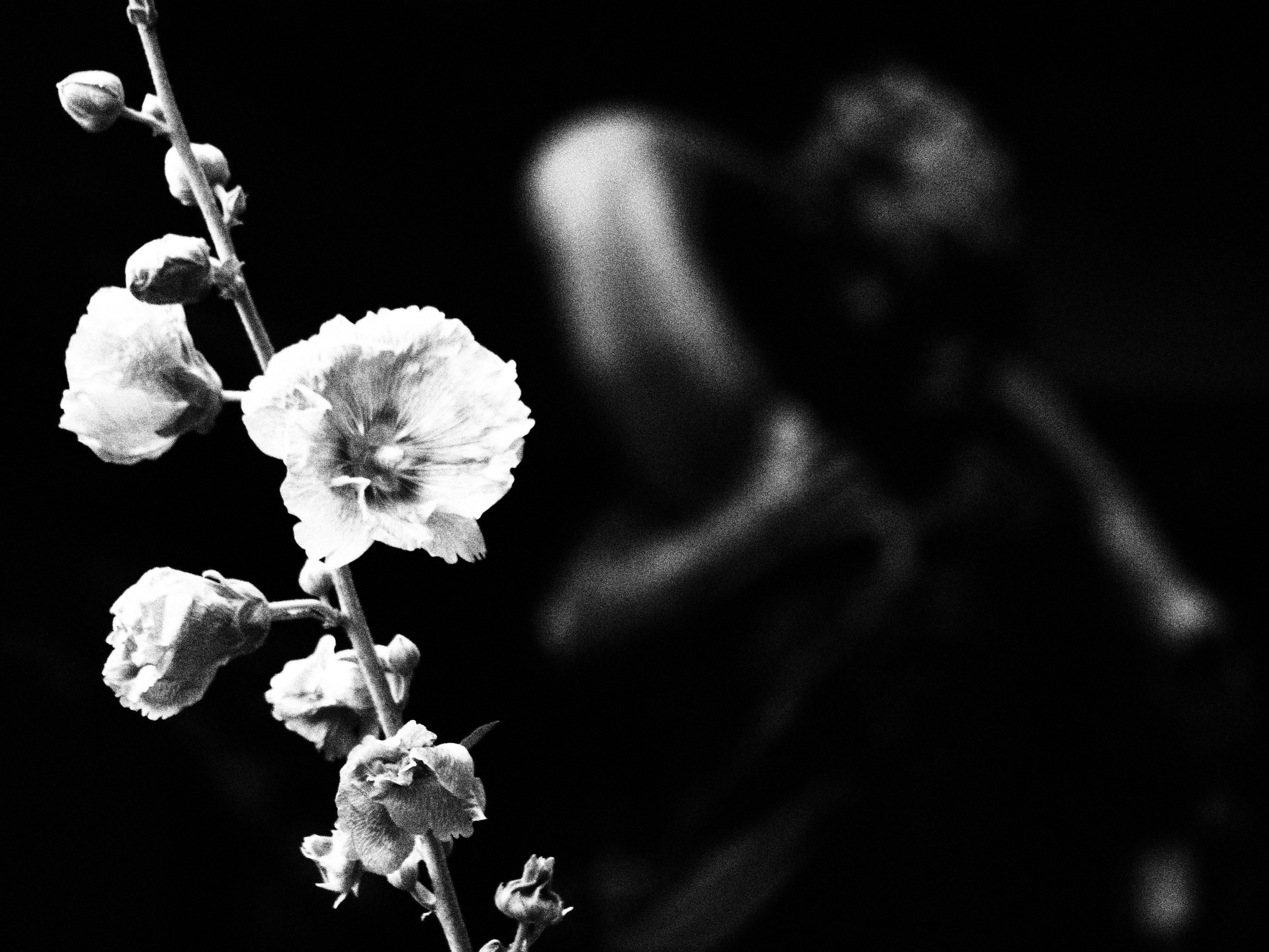 <b>E-30 / ZUIKO DIGITAL ED 40-150mm F4-5.6 / 約2.8MB / 4,032×3,024 / 1/250秒 / F5.6 / -1EV / ISO500 / WB:オート / 150mm</b>