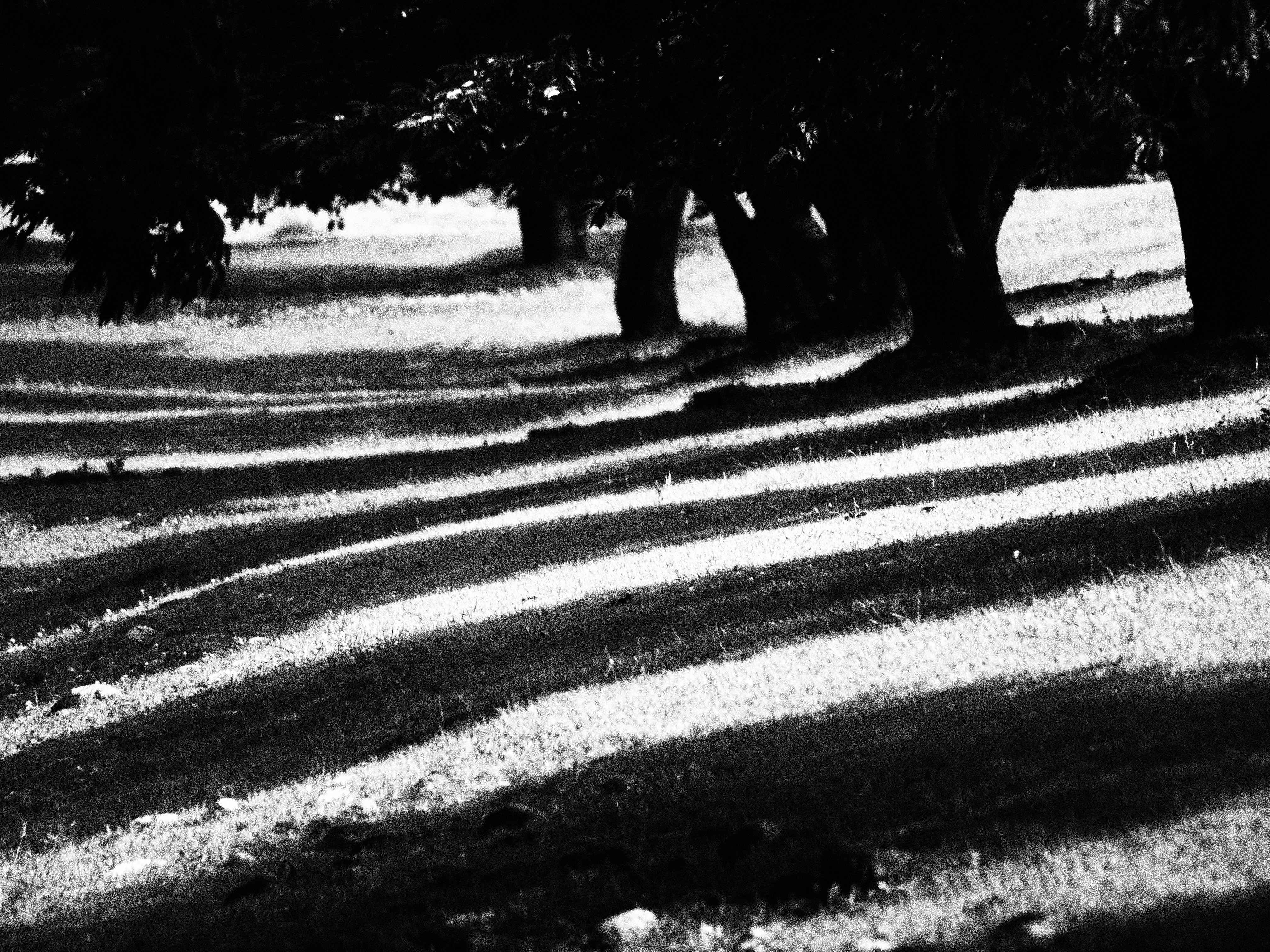 <b>E-30 / ZUIKO DIGITAL ED 70-300mm F4-5.6 / 約2.0MB / 4,032×3,024 / 1/320秒 / F5.6 / 0EV / ISO200 / WB:オート / 300mm</b>