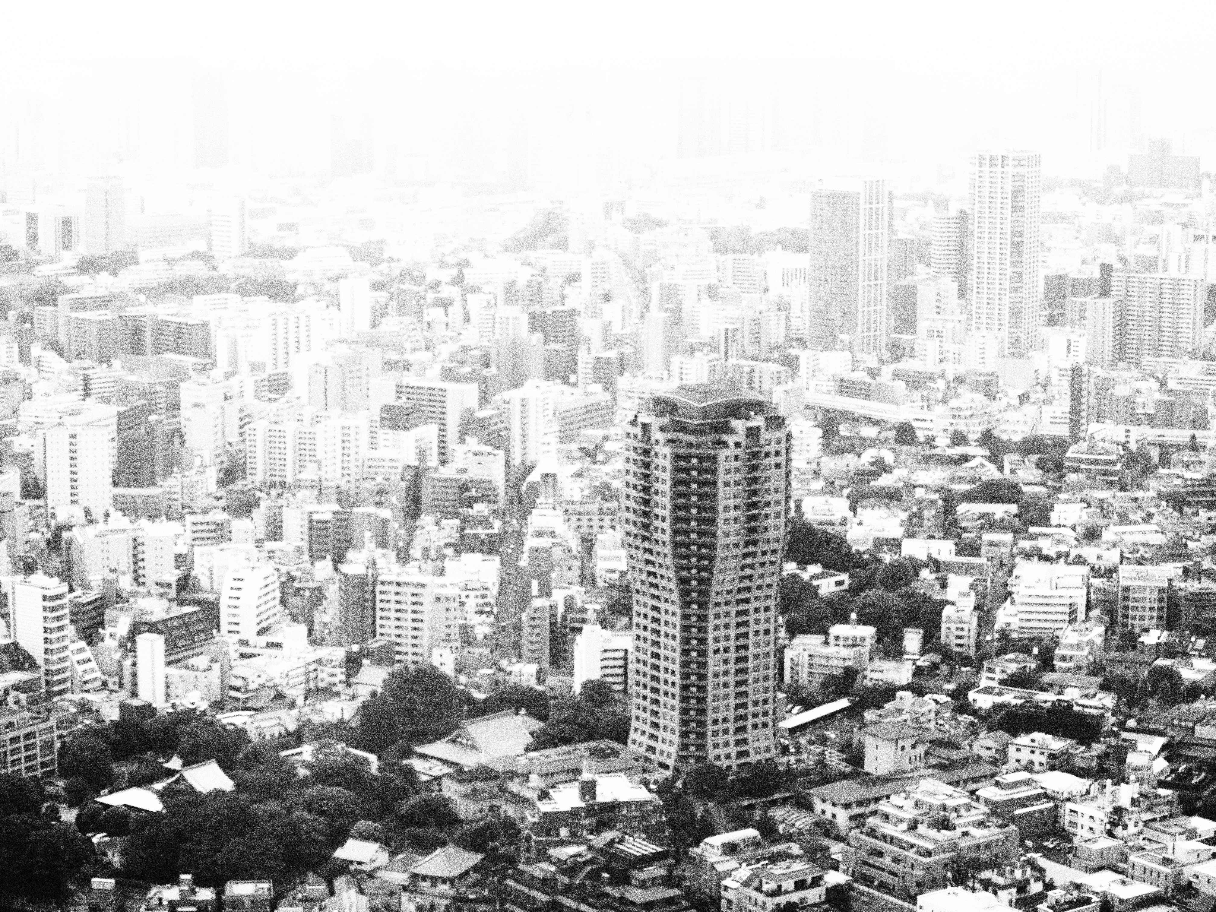 <b>E-30 / ZUIKO DIGITAL ED 40-150mm F4-5.6 / 約2.2MB / 4,032×3,024 / 1/100秒 / F4.5 / 0EV / ISO200 / WB:オート / 40mm</b>