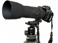 SIGMA APO150-500mm F5-6.3 DG OS HSM ニコン-