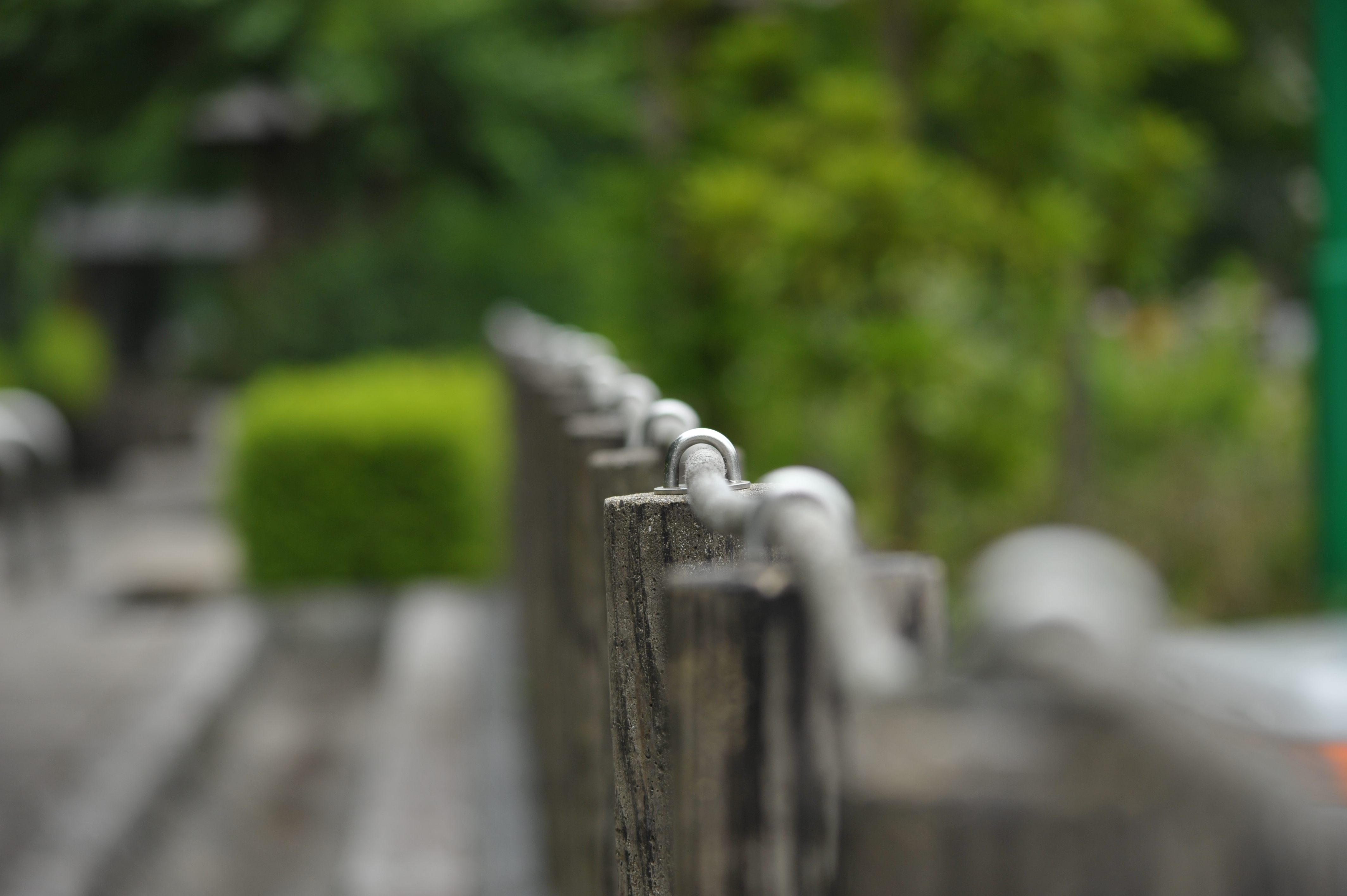 <b>D700 / 4,256×2,832 / 1/640秒 / F5 / -0.3EV / ISO400 / 絞り優先AE / WB:晴天 / 150mm / ヴィネットコントロール:しない</b>